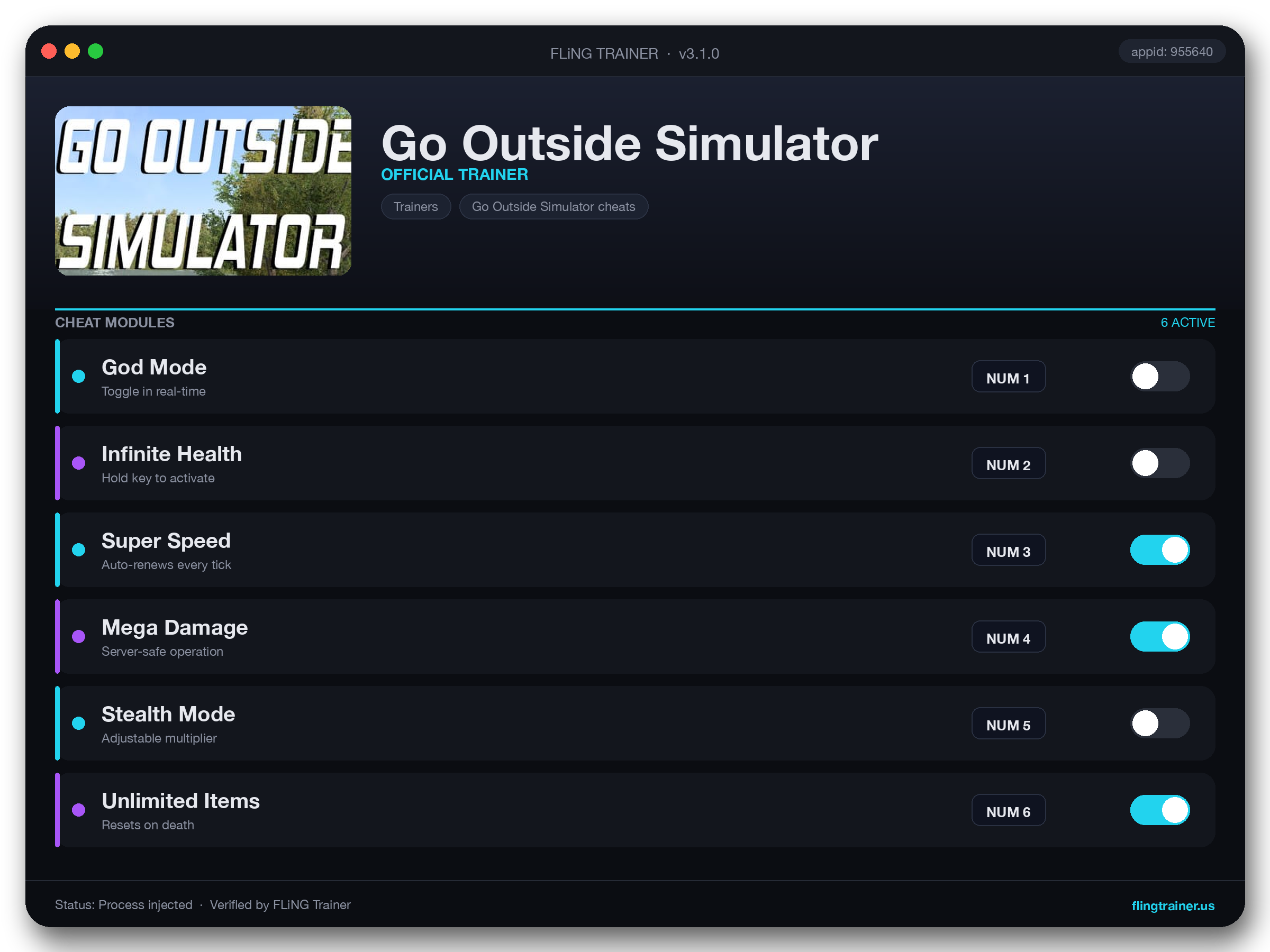 Go Outside Simulator Trainer interface