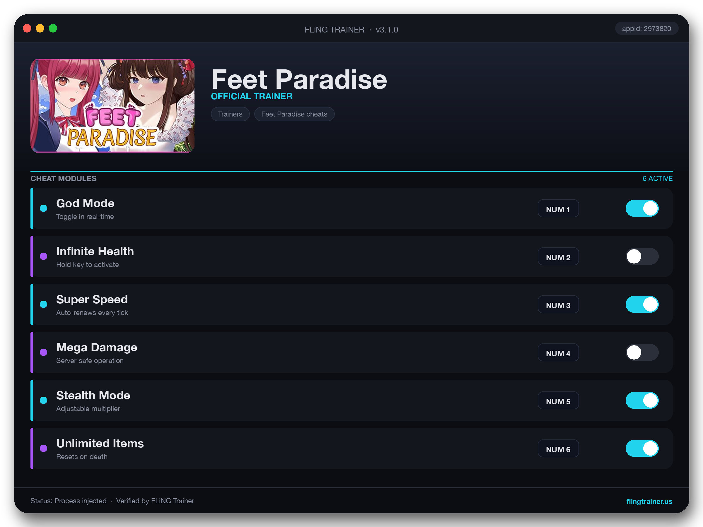 Feet Paradise Trainer interface