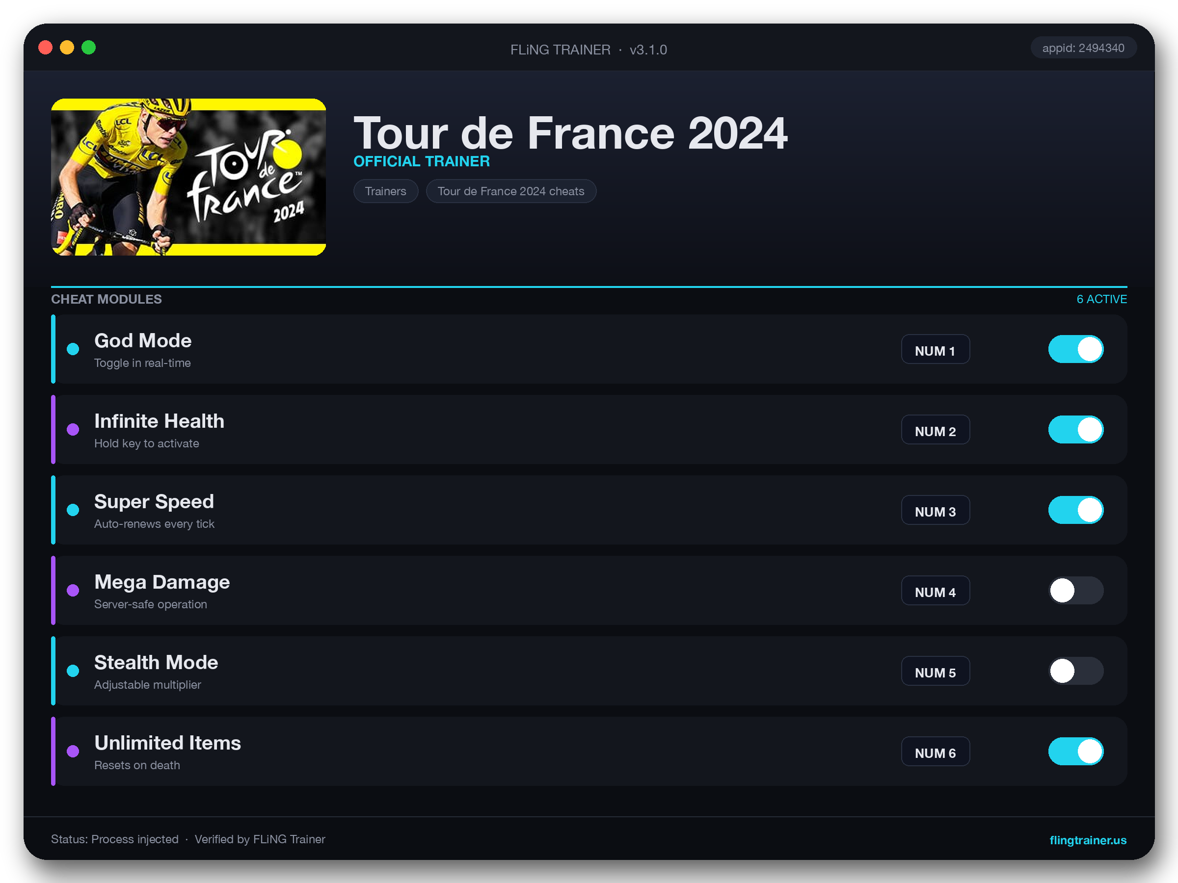 Tour de France 2024 Trainer interface