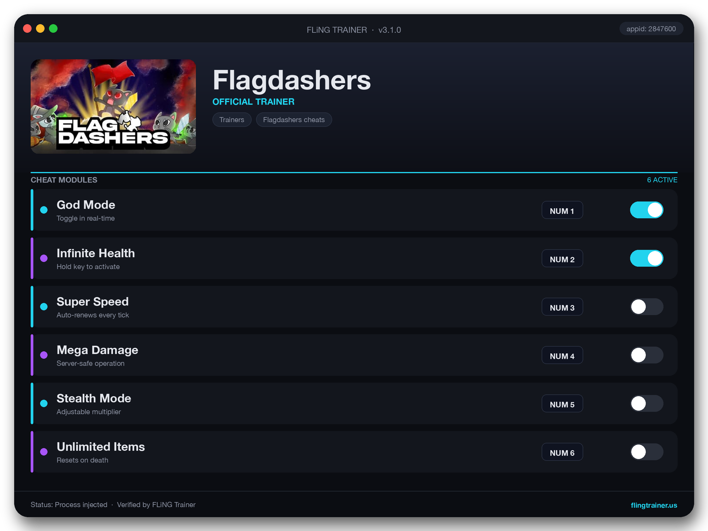 Flagdashers Trainer interface