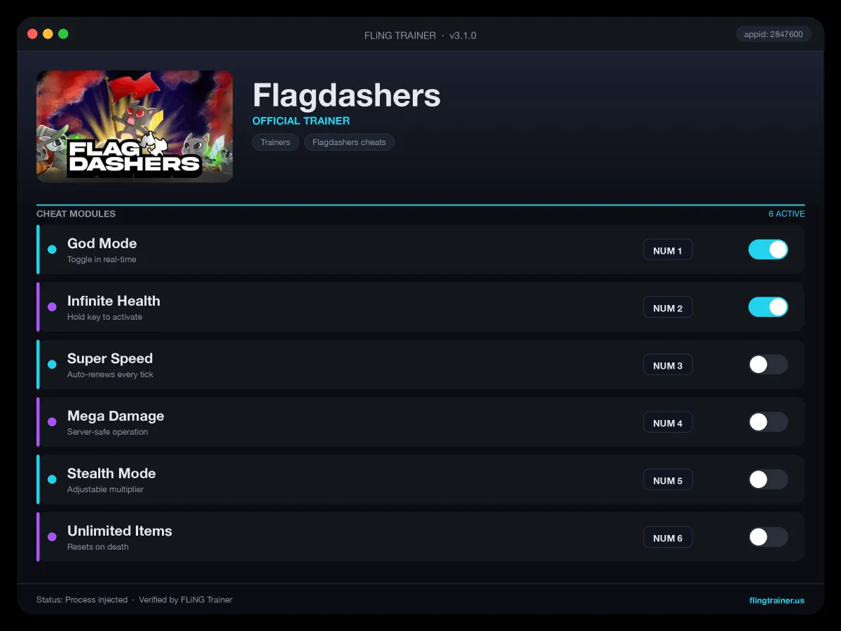 Flagdashers Trainer interface