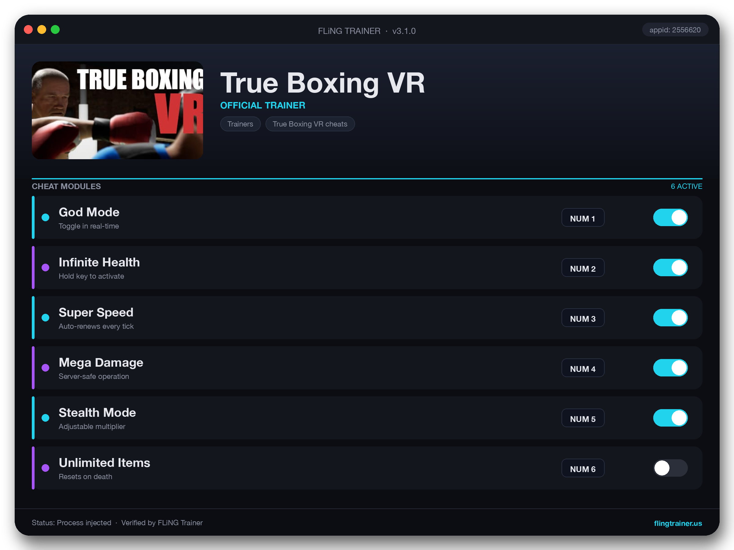 True Boxing VR Trainer interface