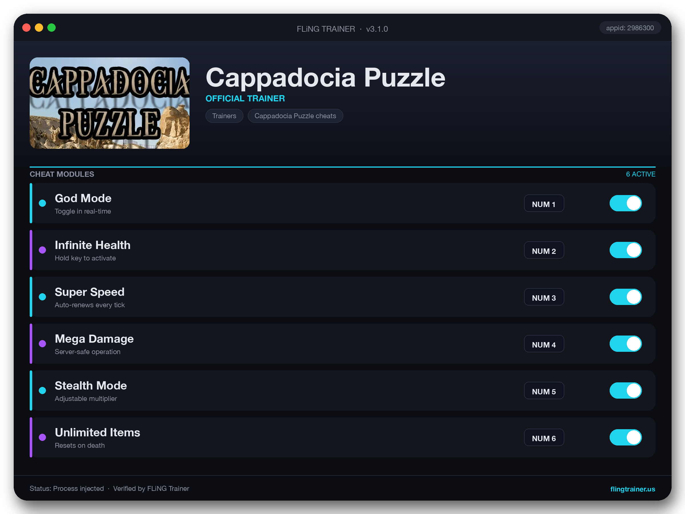 Cappadocia Puzzle Trainer interface