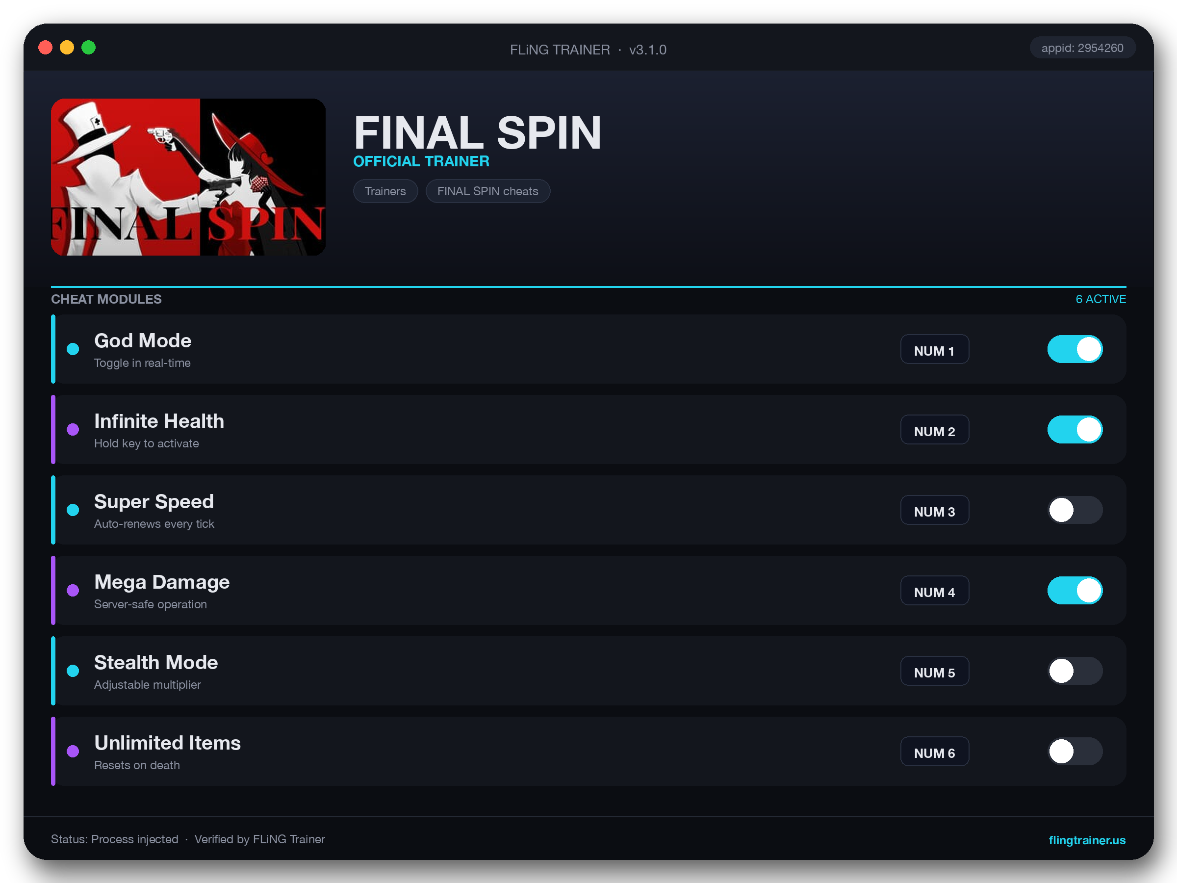 FINAL SPIN Trainer interface