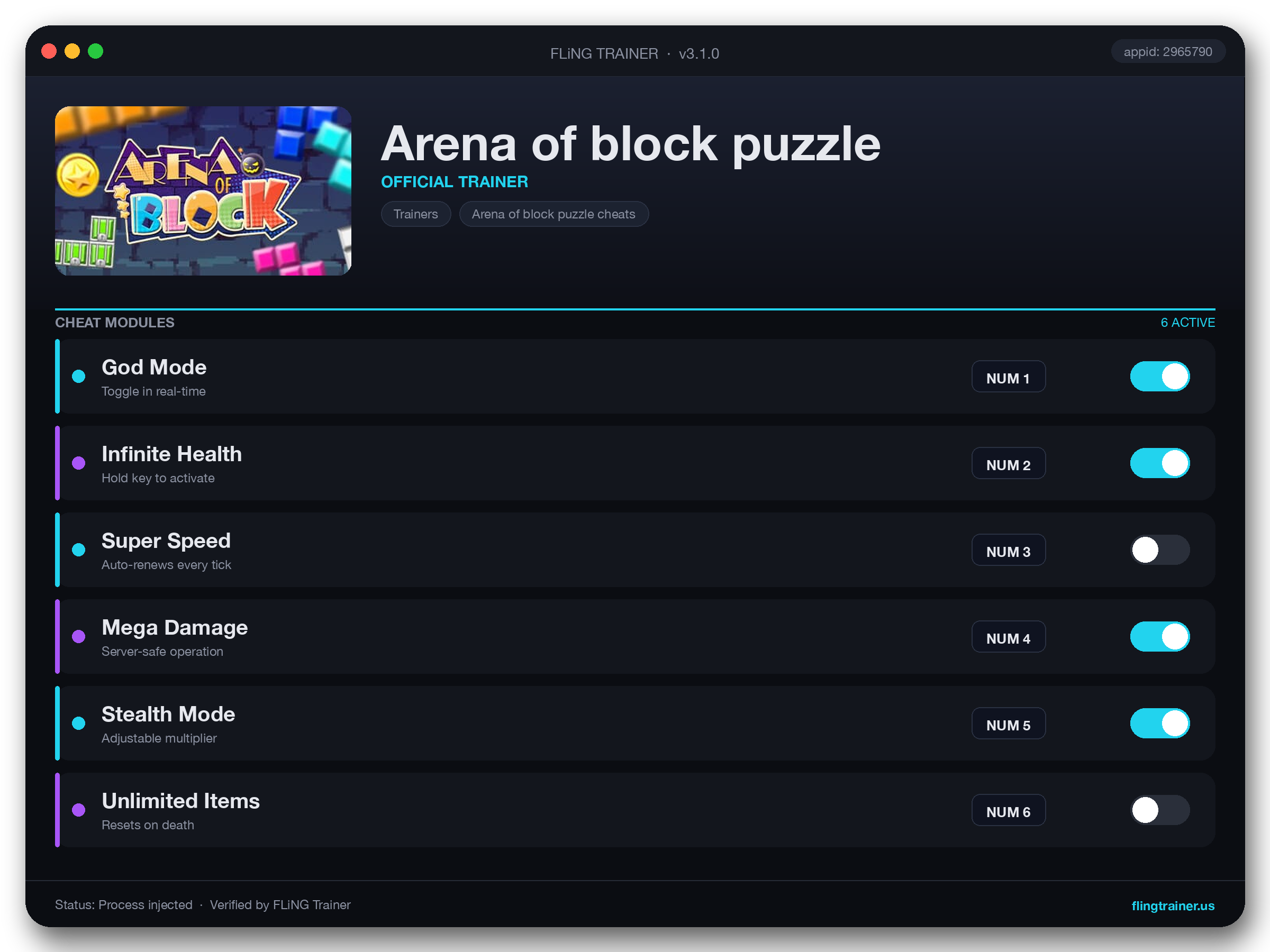 Arena of block puzzle Trainer interface
