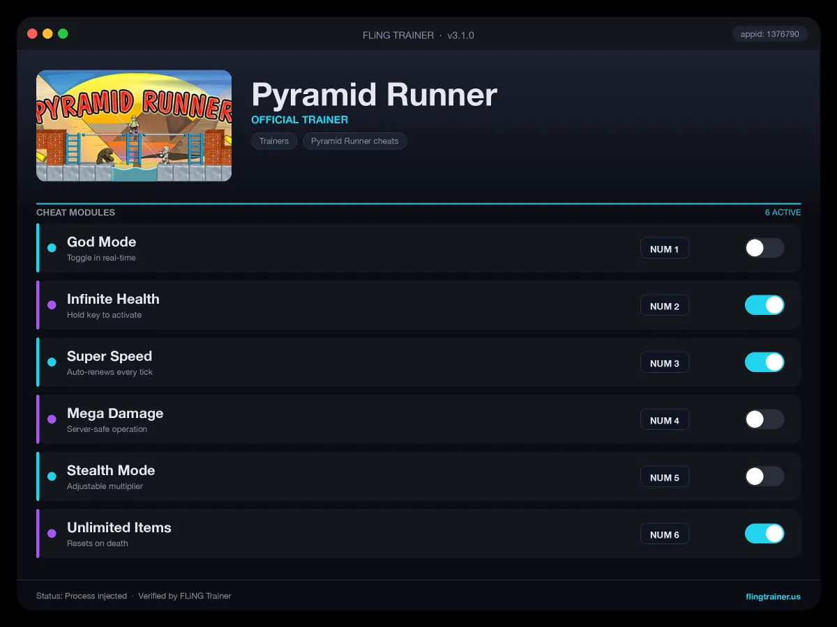 Pyramid Runner Trainer interface