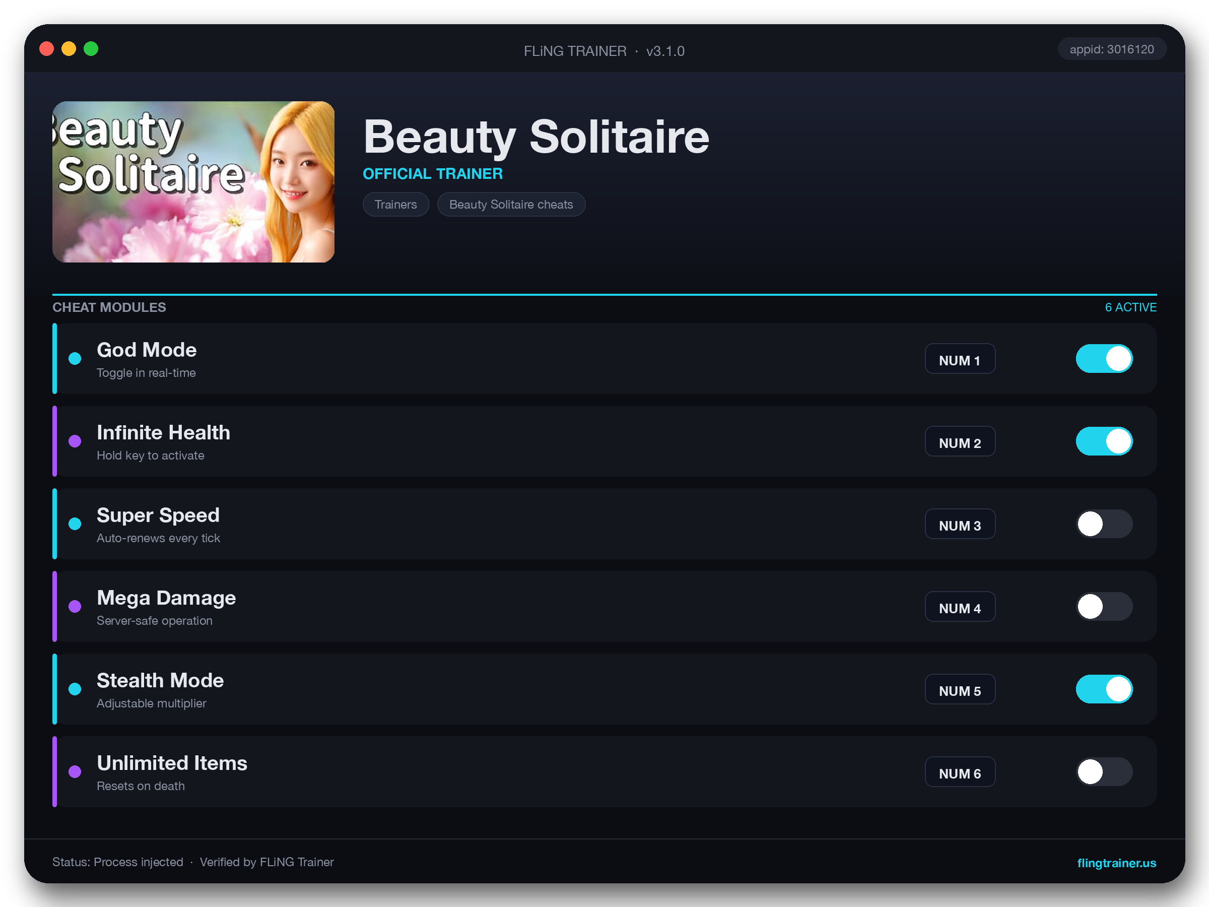 Beauty Solitaire Trainer interface