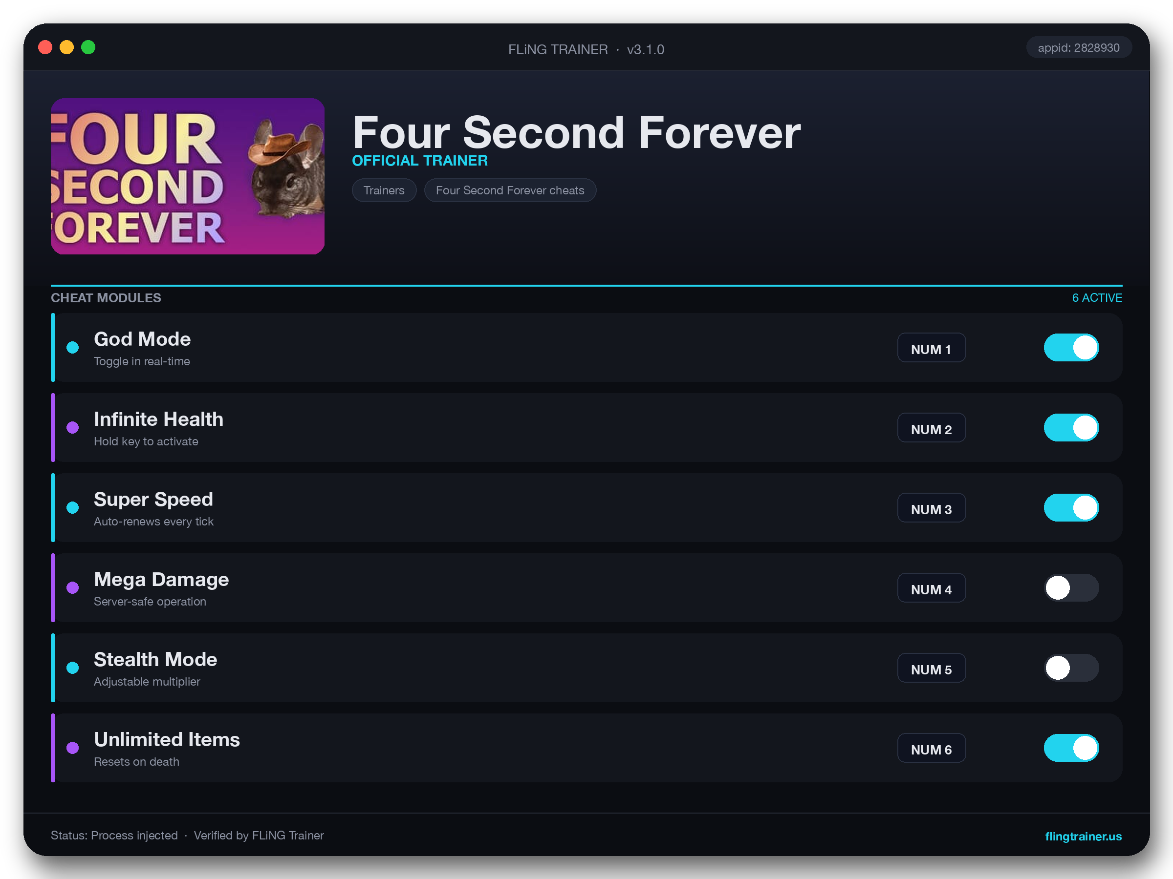 Four Second Forever Trainer interface