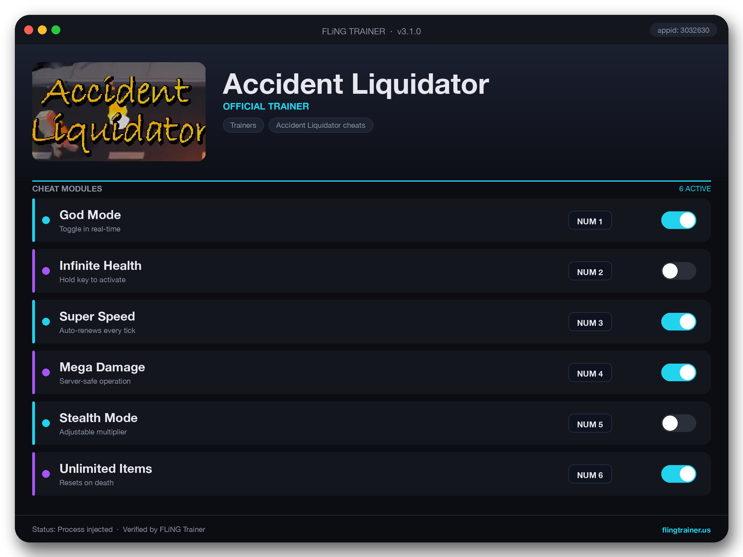 Accident Liquidator Trainer interface