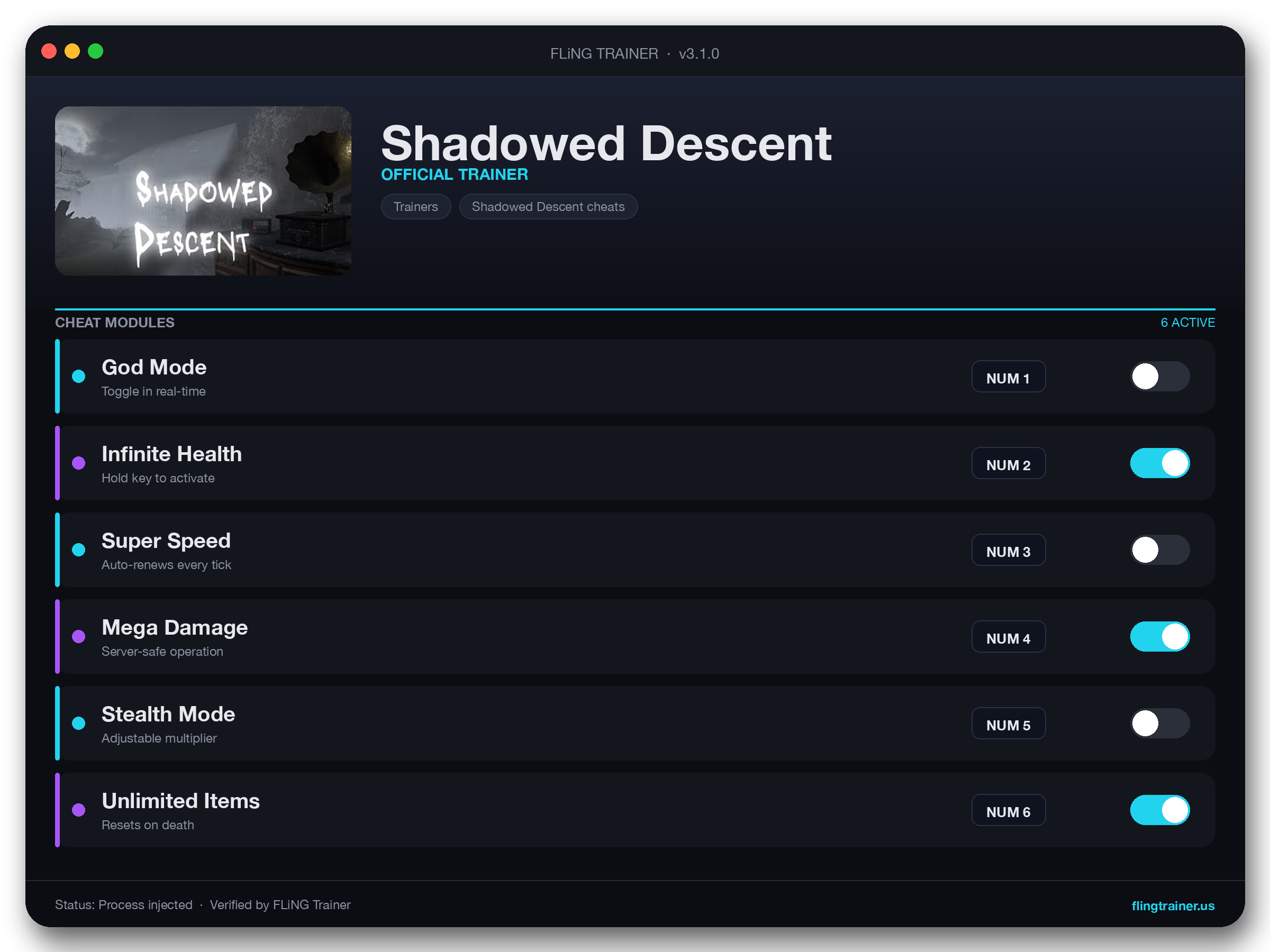 Shadowed Descent Trainer interface
