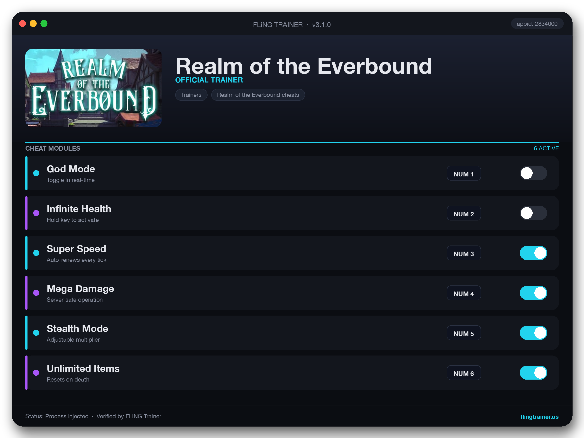 Realm of the Everbound Trainer interface