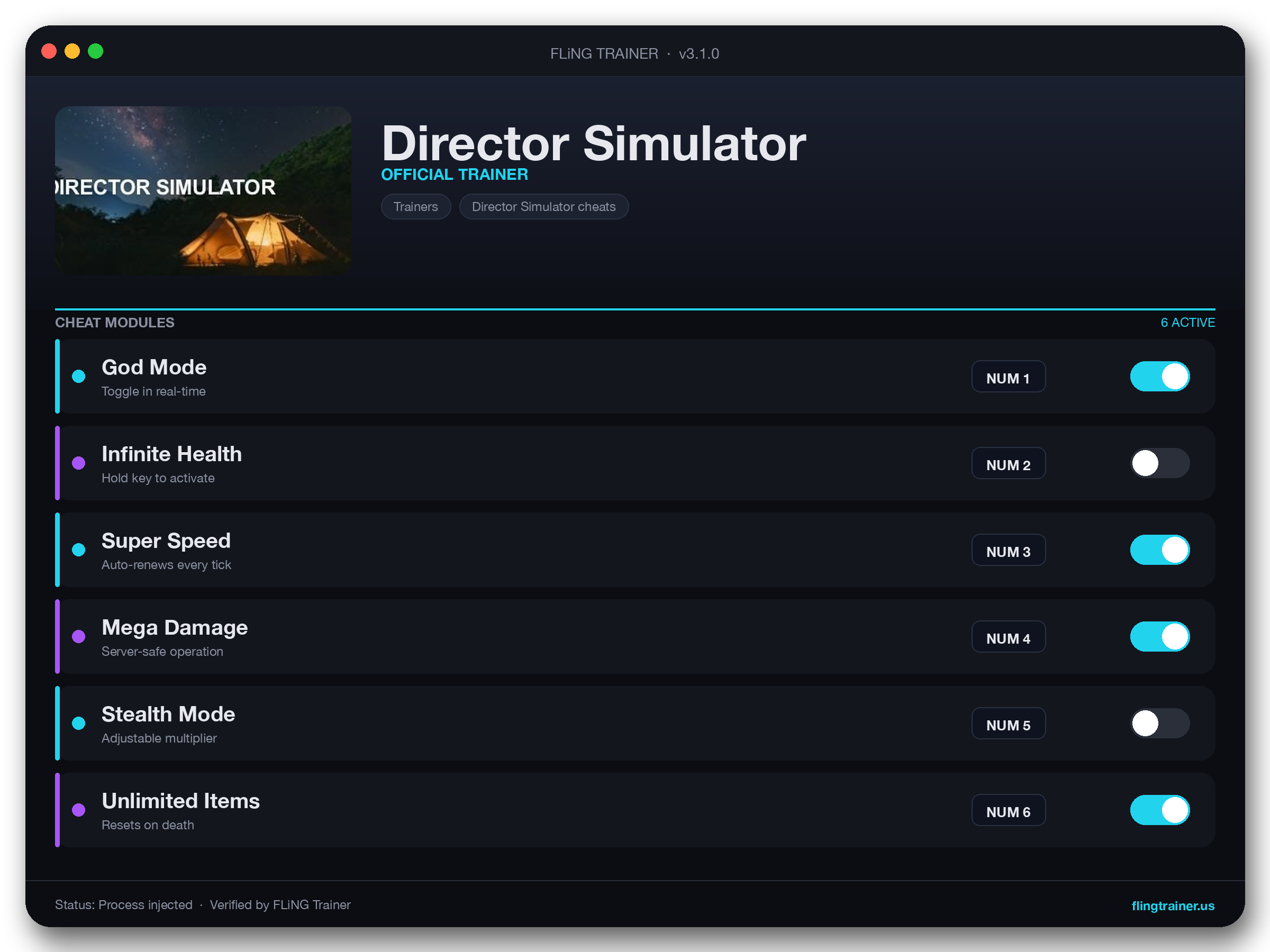 Director Simulator Trainer interface