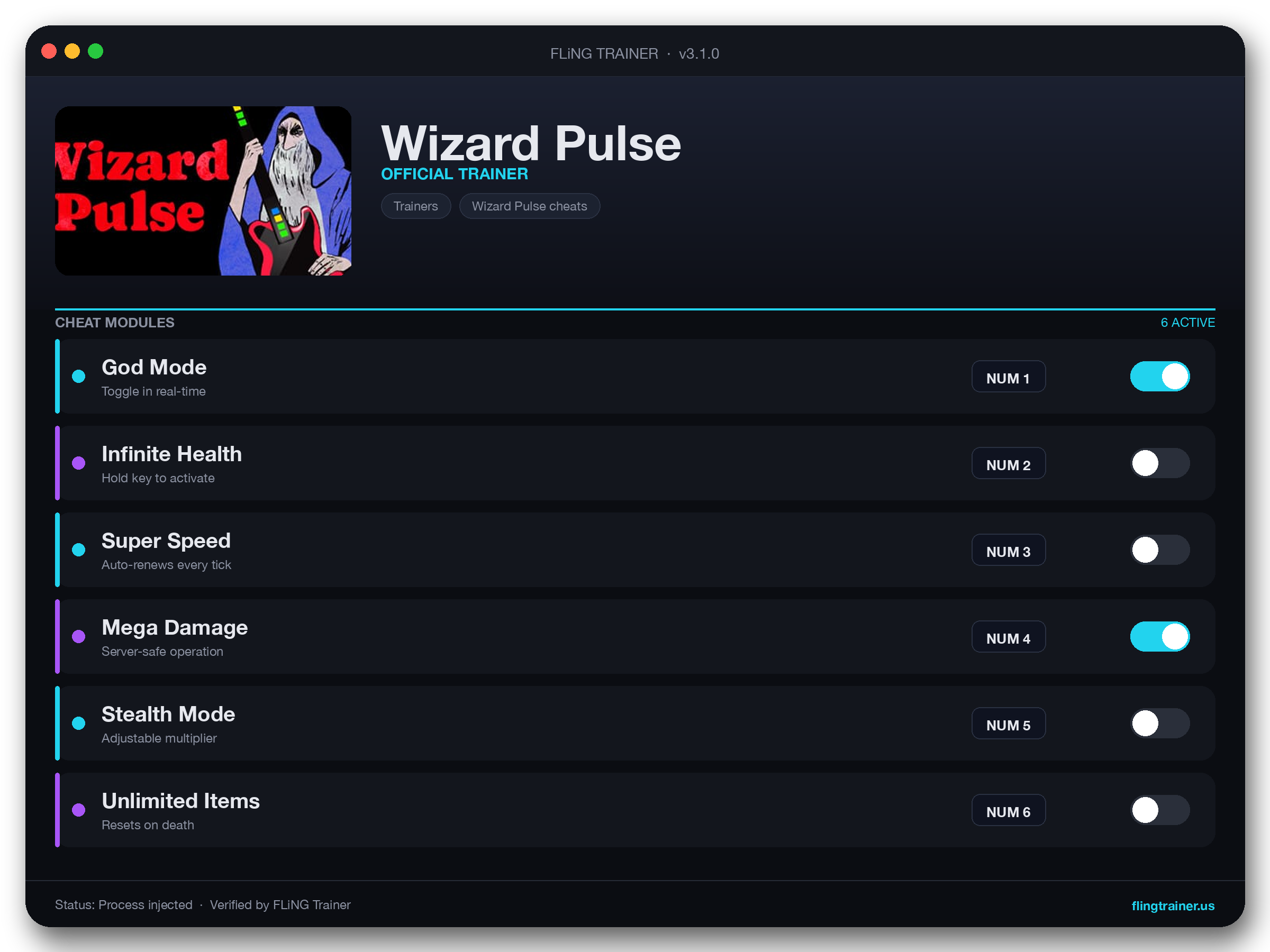Wizard Pulse Trainer interface