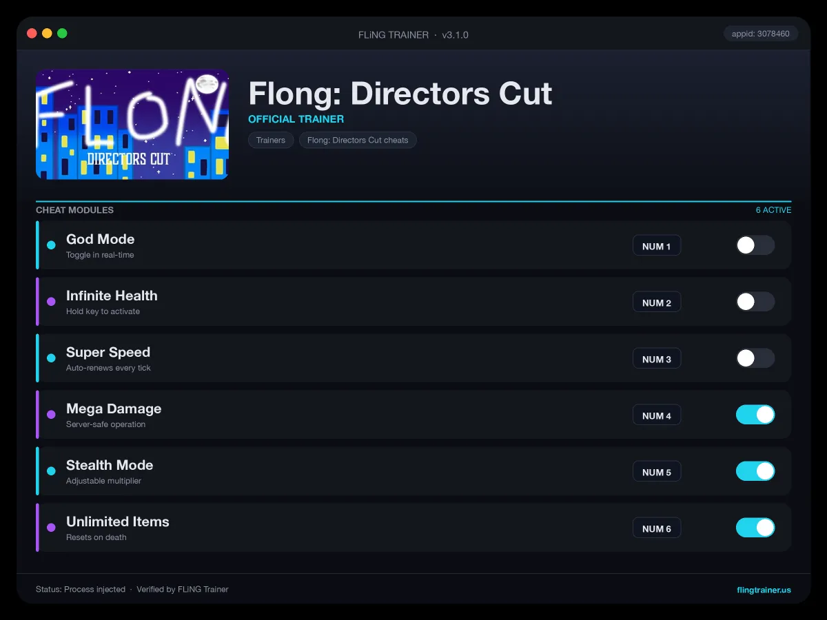 Flong: Directors Cut Trainer interface