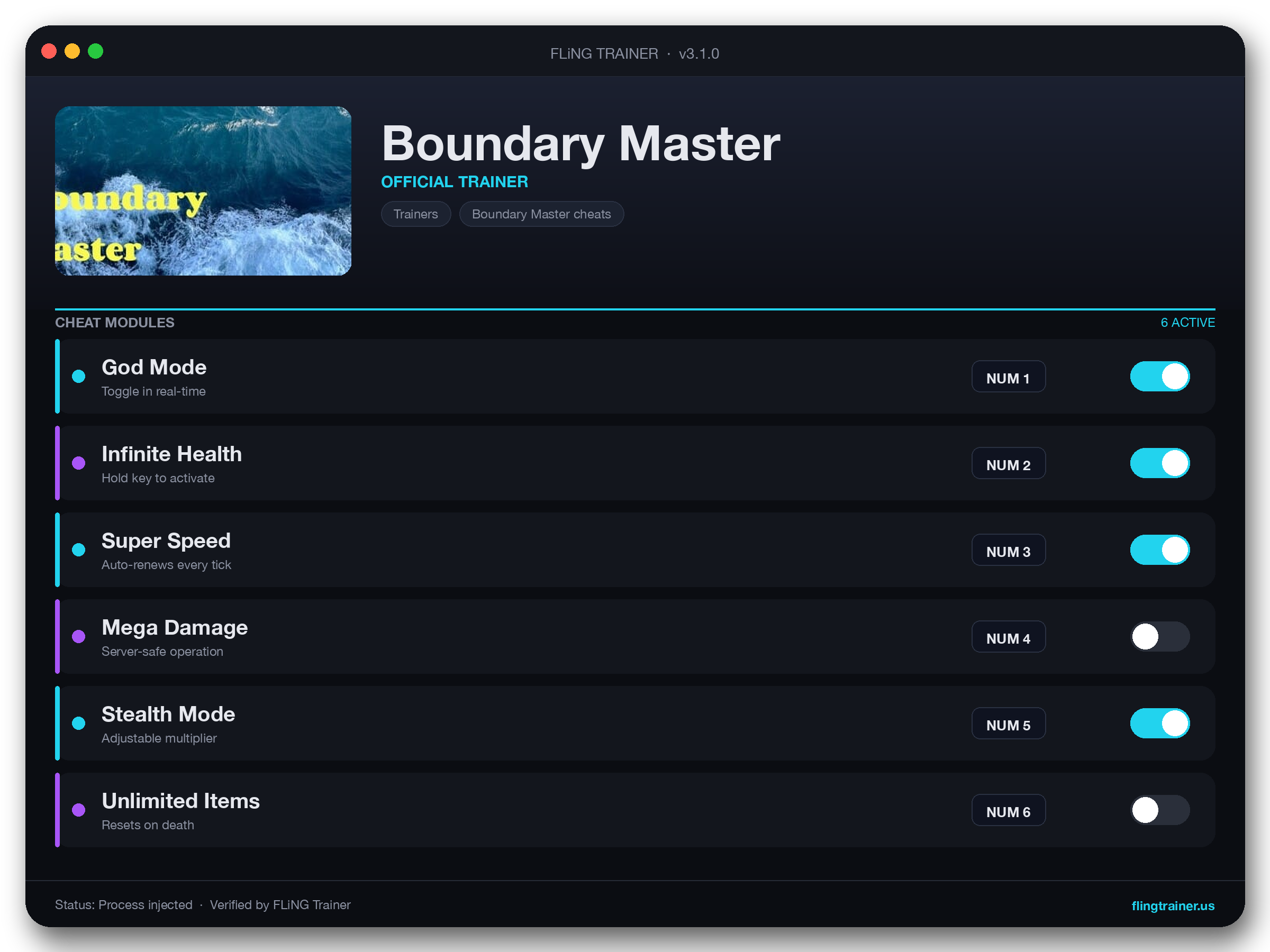 Boundary Master Trainer interface