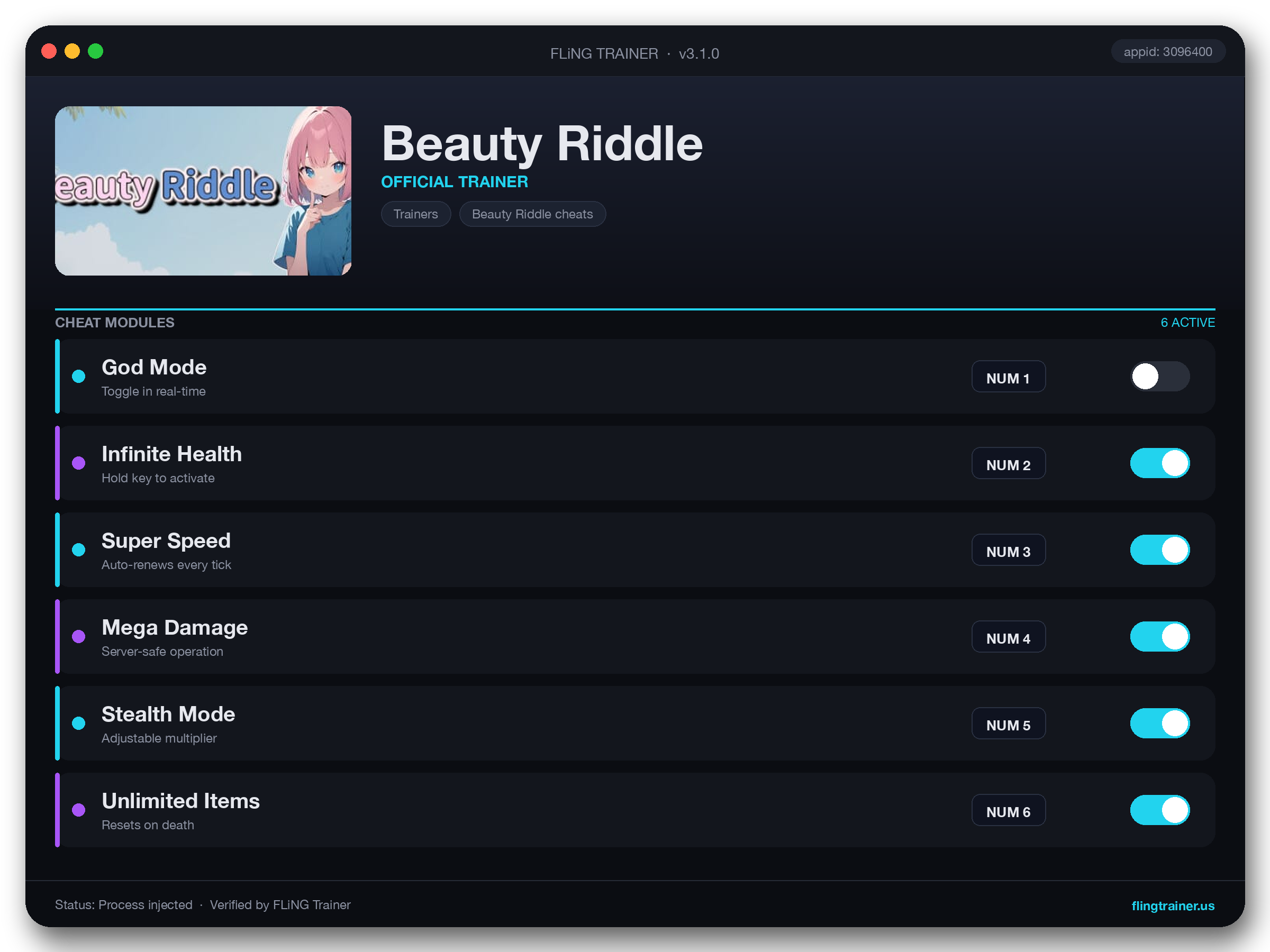 Beauty Riddle Trainer interface