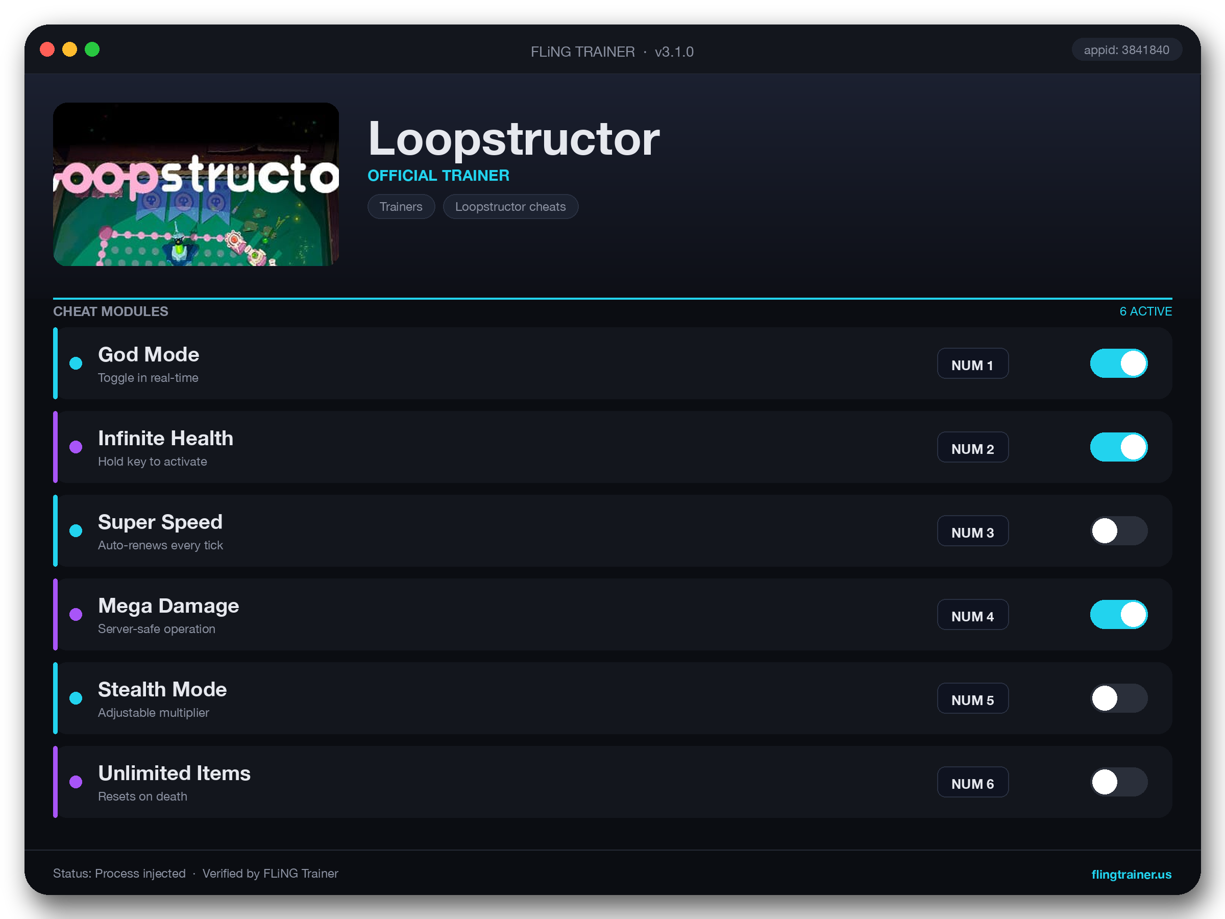 Loopstructor Trainer interface