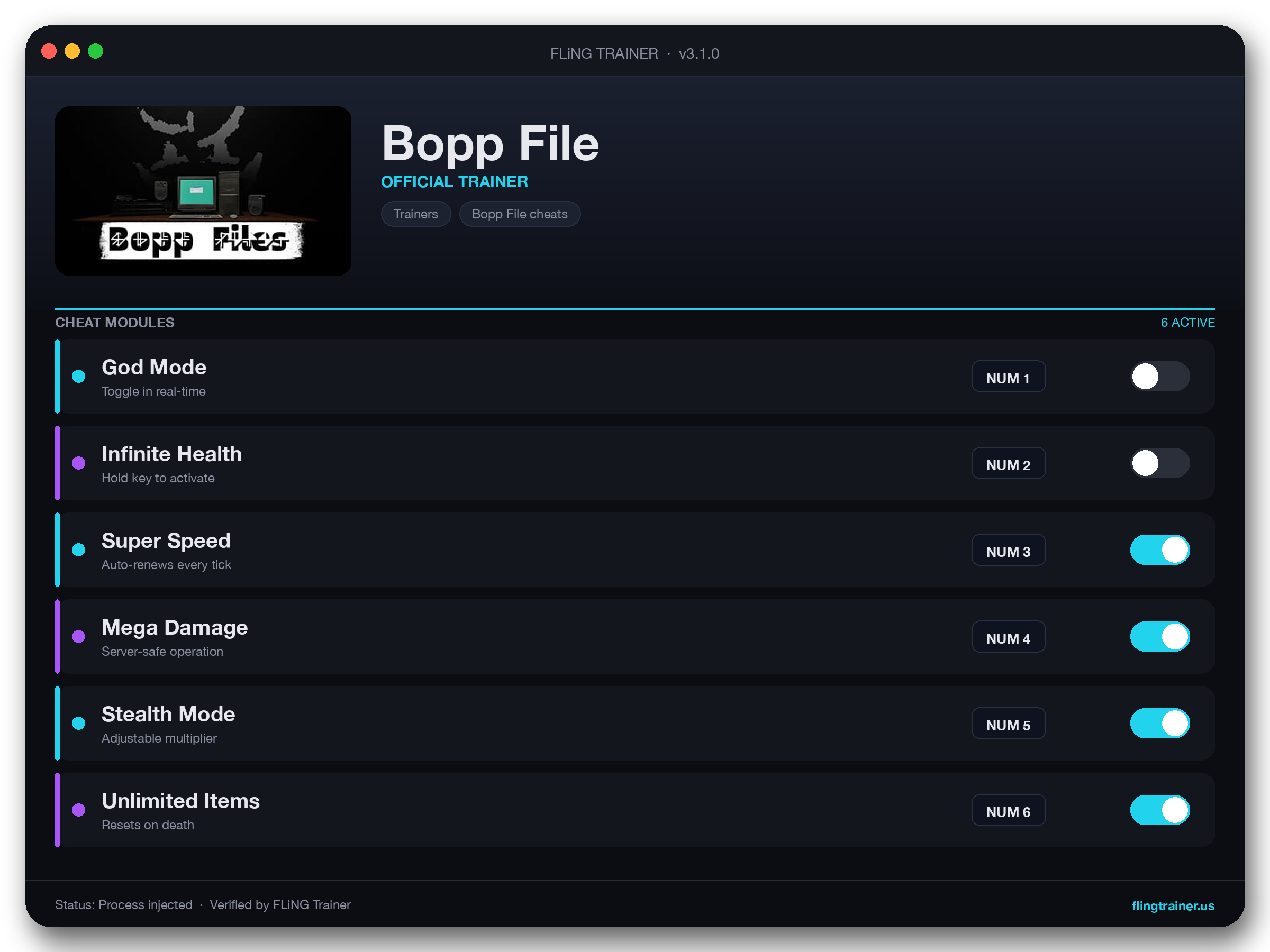 Bopp File Trainer interface