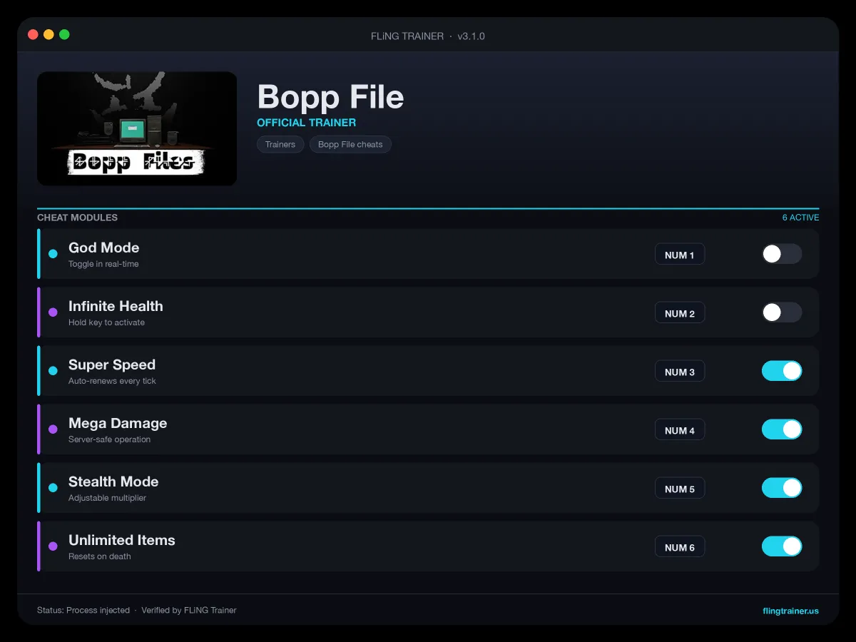 Bopp File Trainer interface