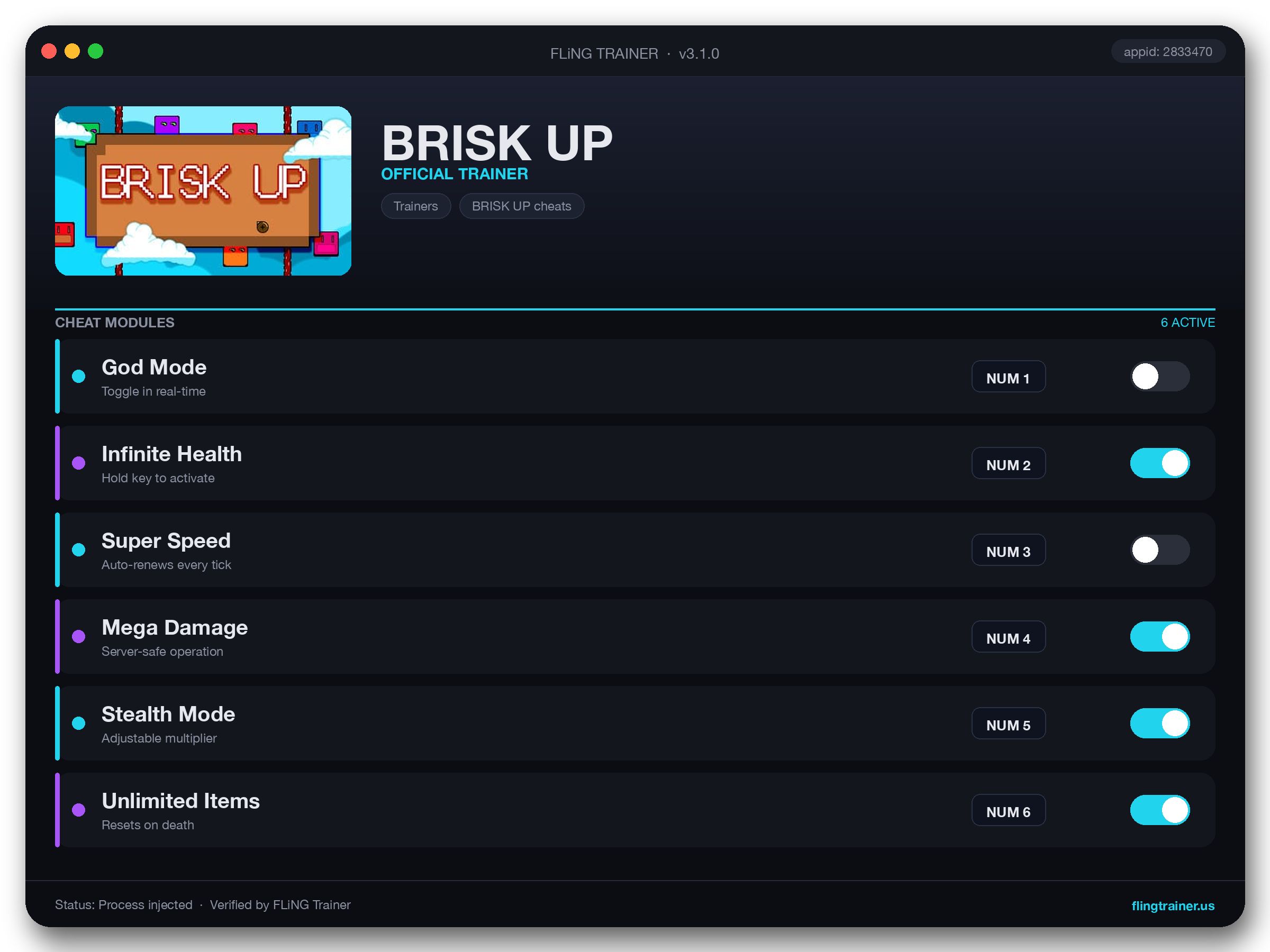 BRISK UP Trainer interface