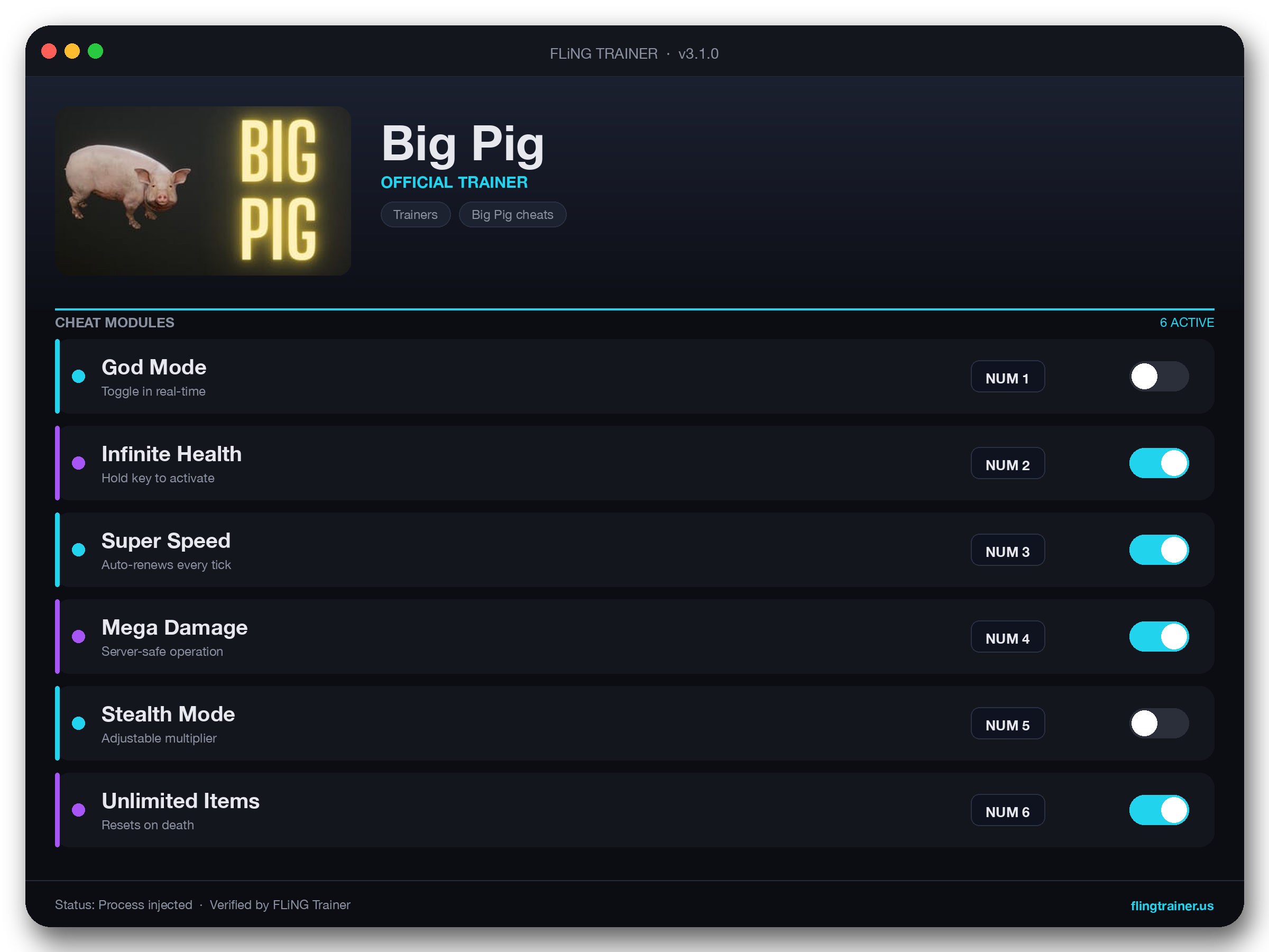 Big Pig Trainer interface