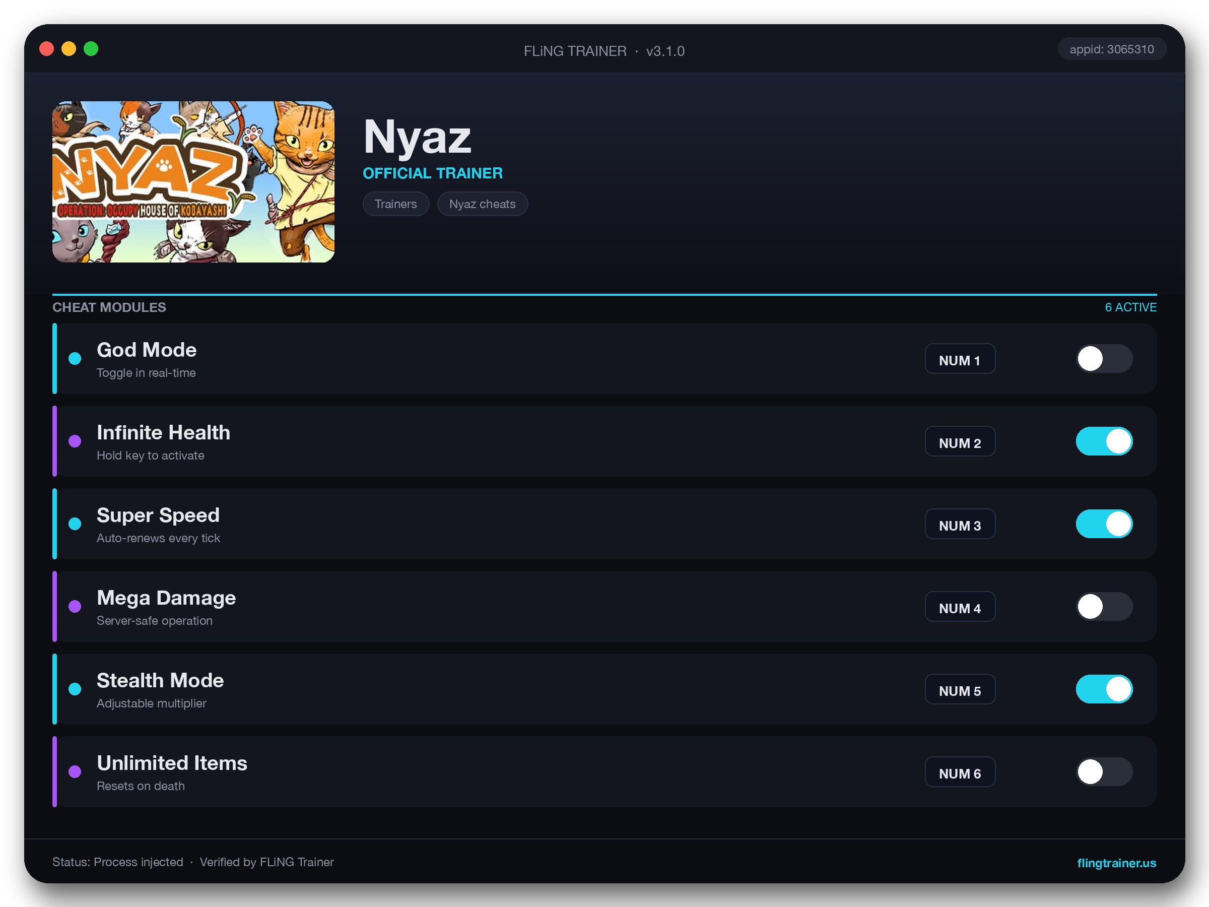 Nyaz Trainer interface