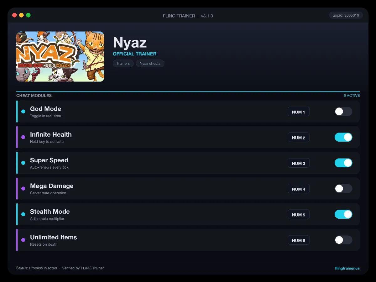 Nyaz Trainer interface