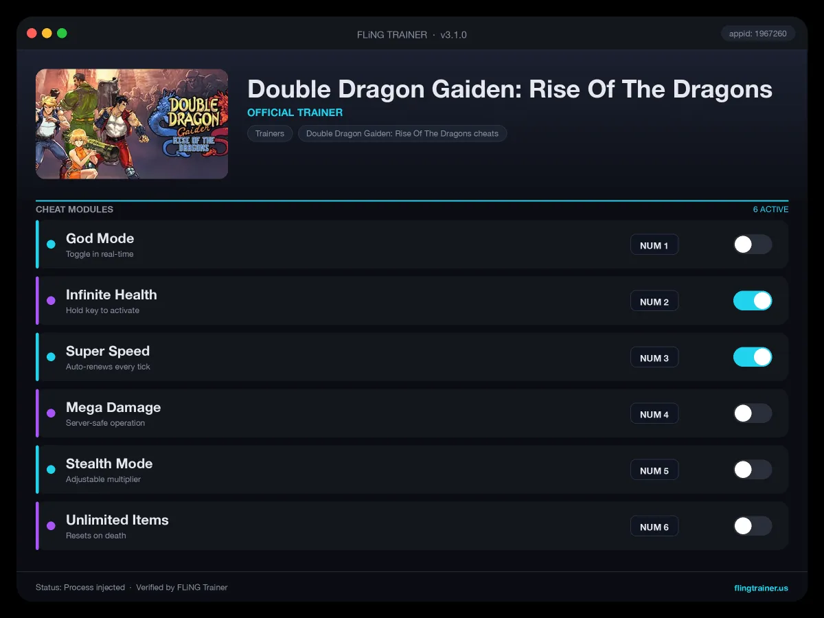 Double Dragon Gaiden: Rise Of The Dragons Trainer interface
