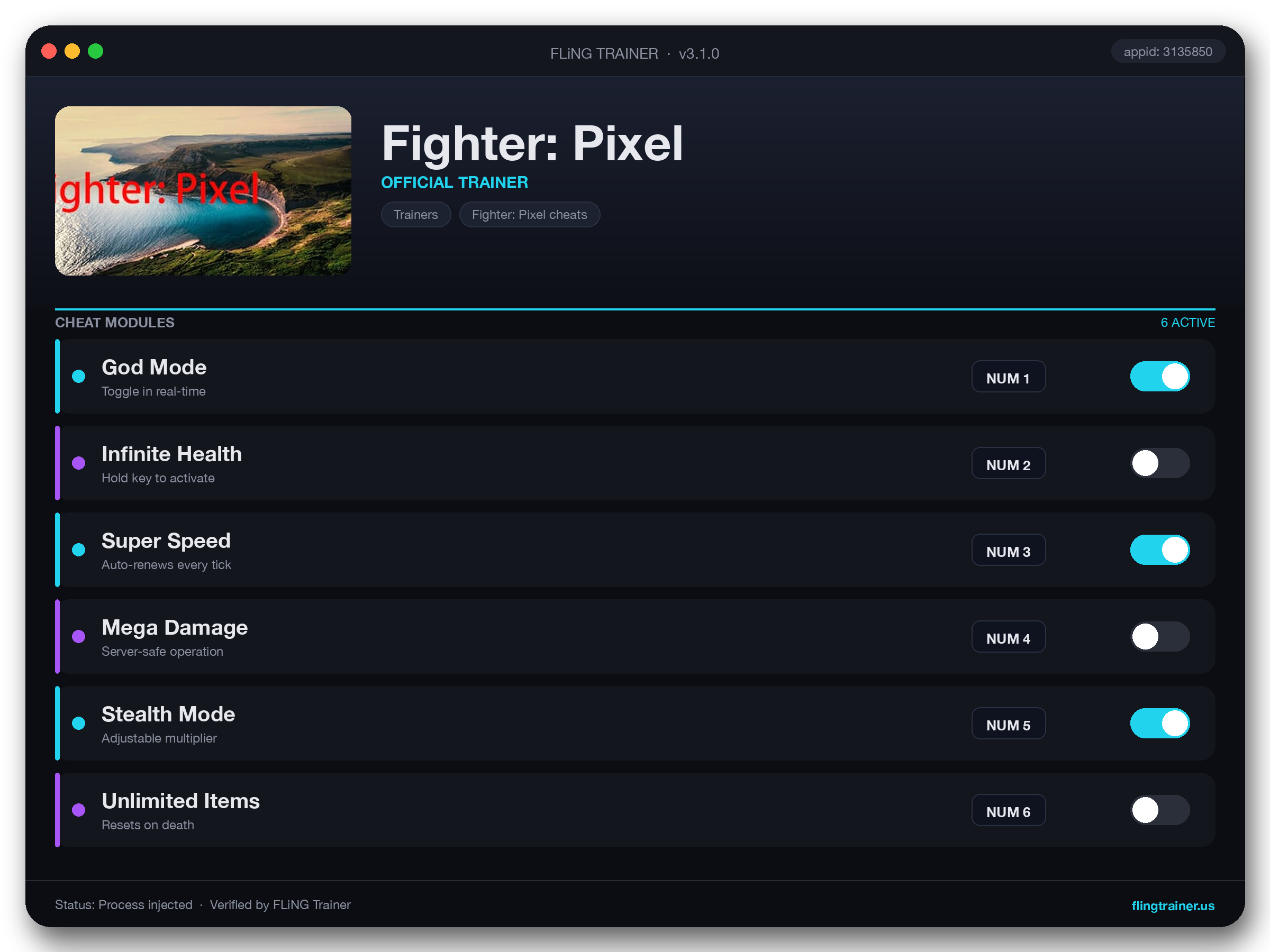 Fighter: Pixel Trainer interface