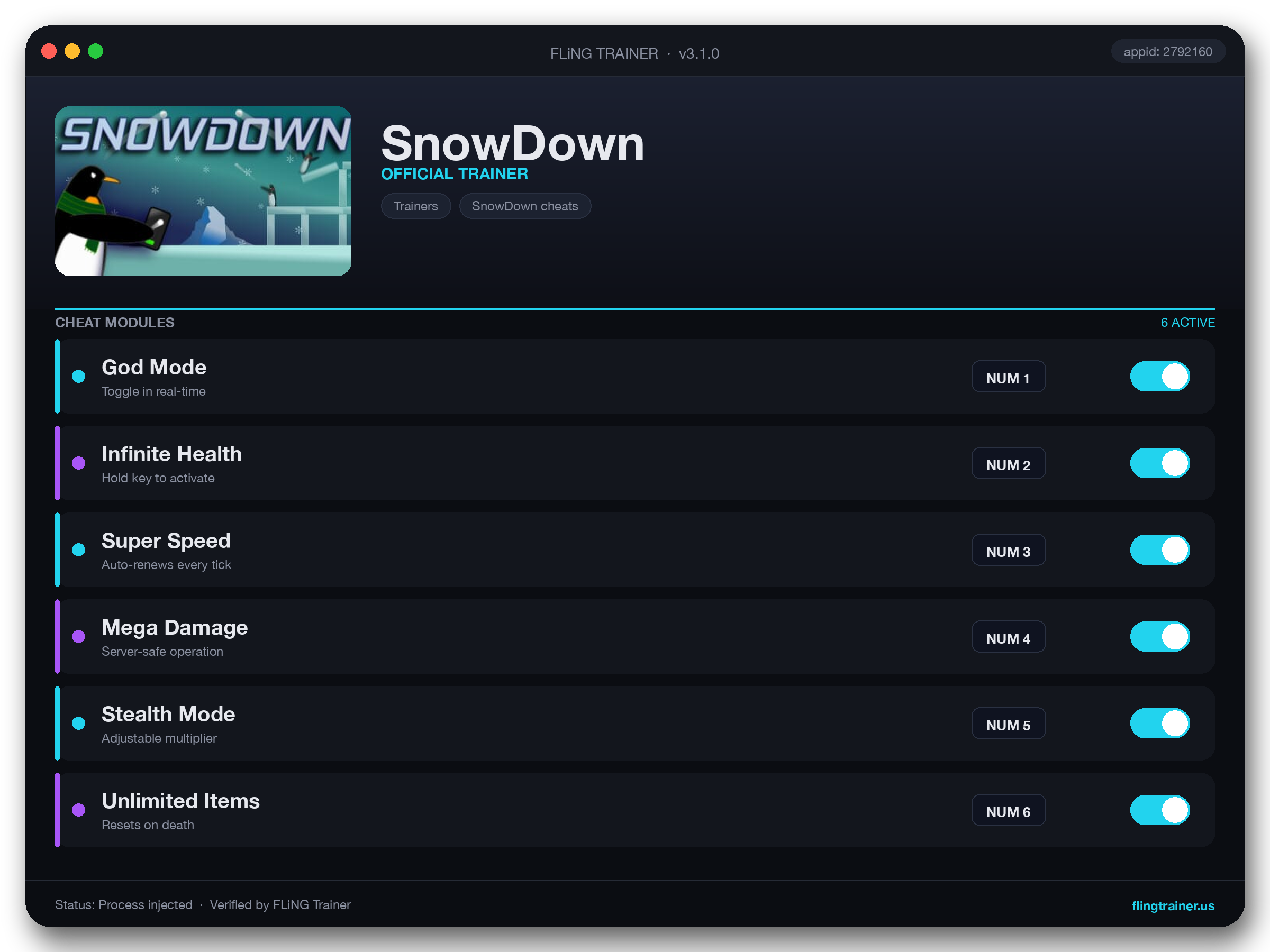SnowDown Trainer interface