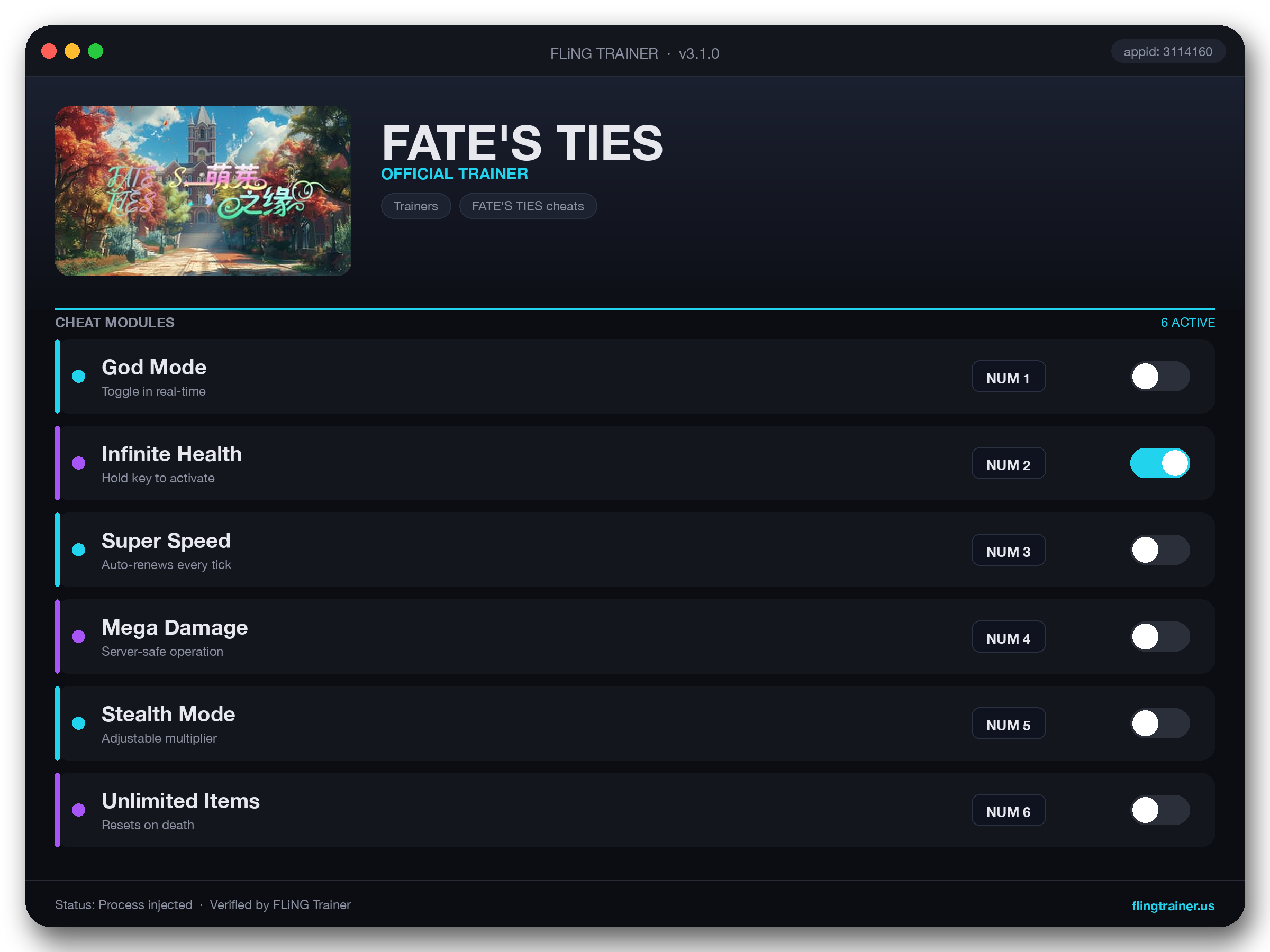 FATE'S TIES Trainer interface