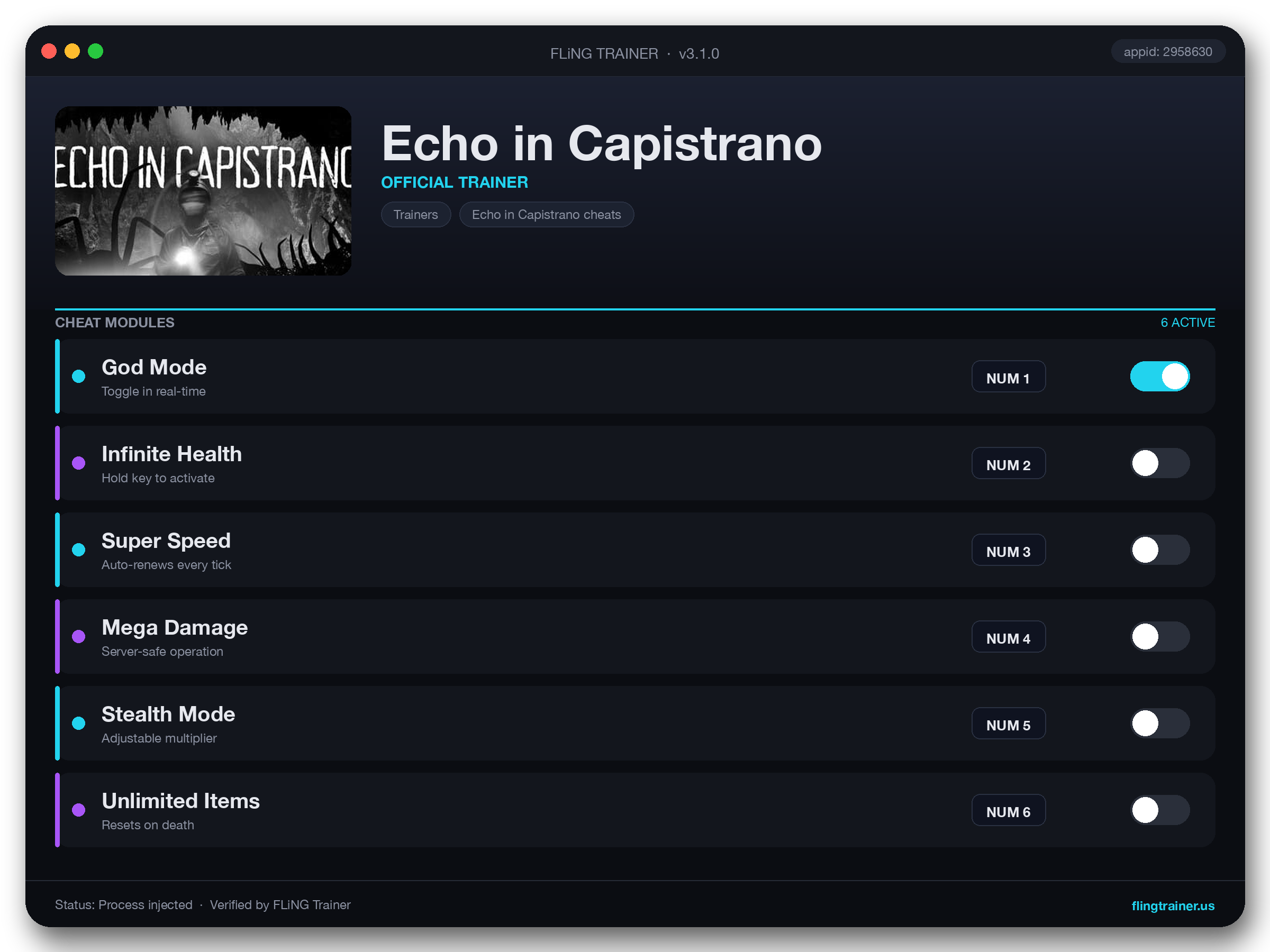 Echo in Capistrano Trainer interface