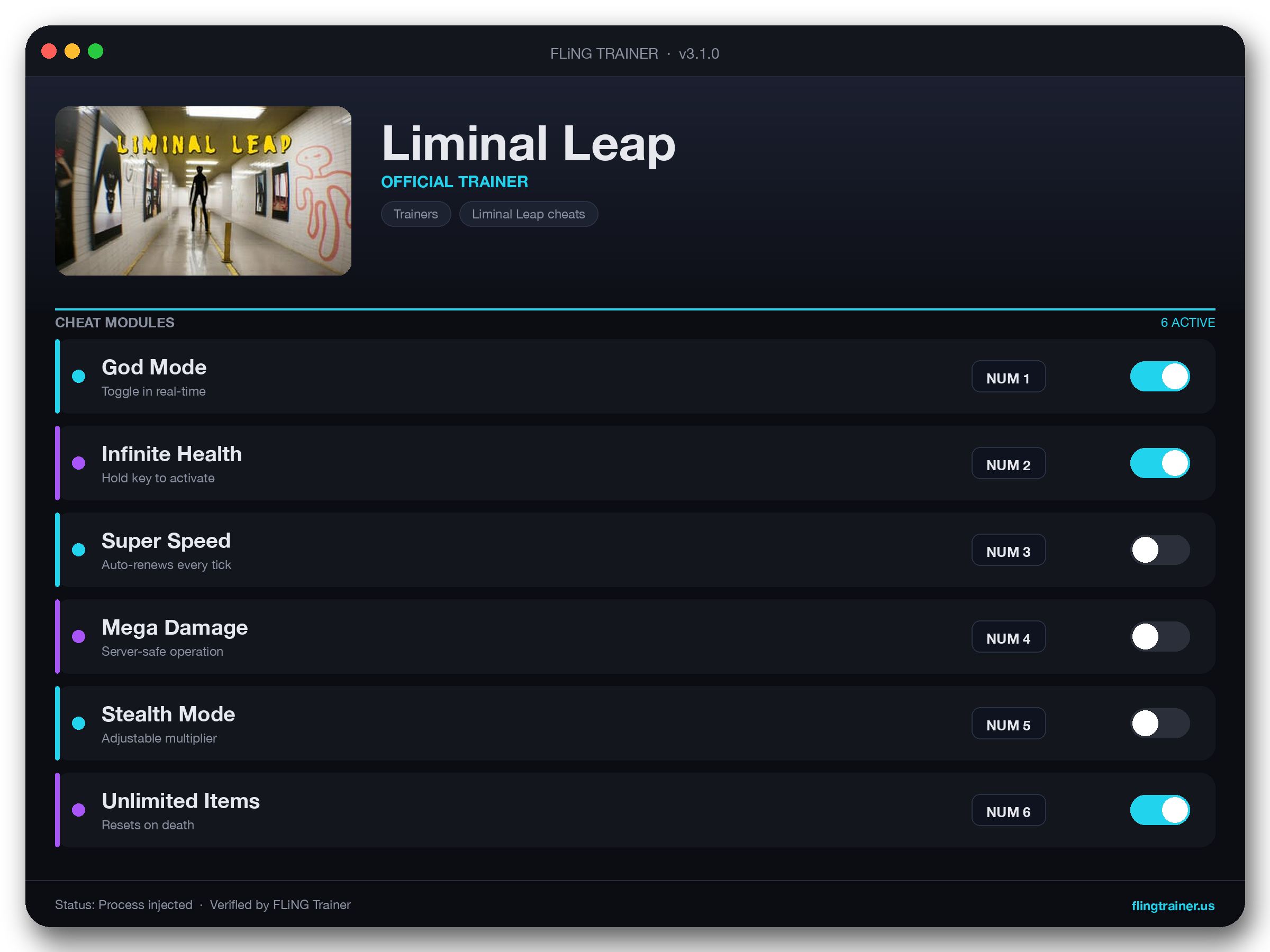 Liminal Leap Trainer interface
