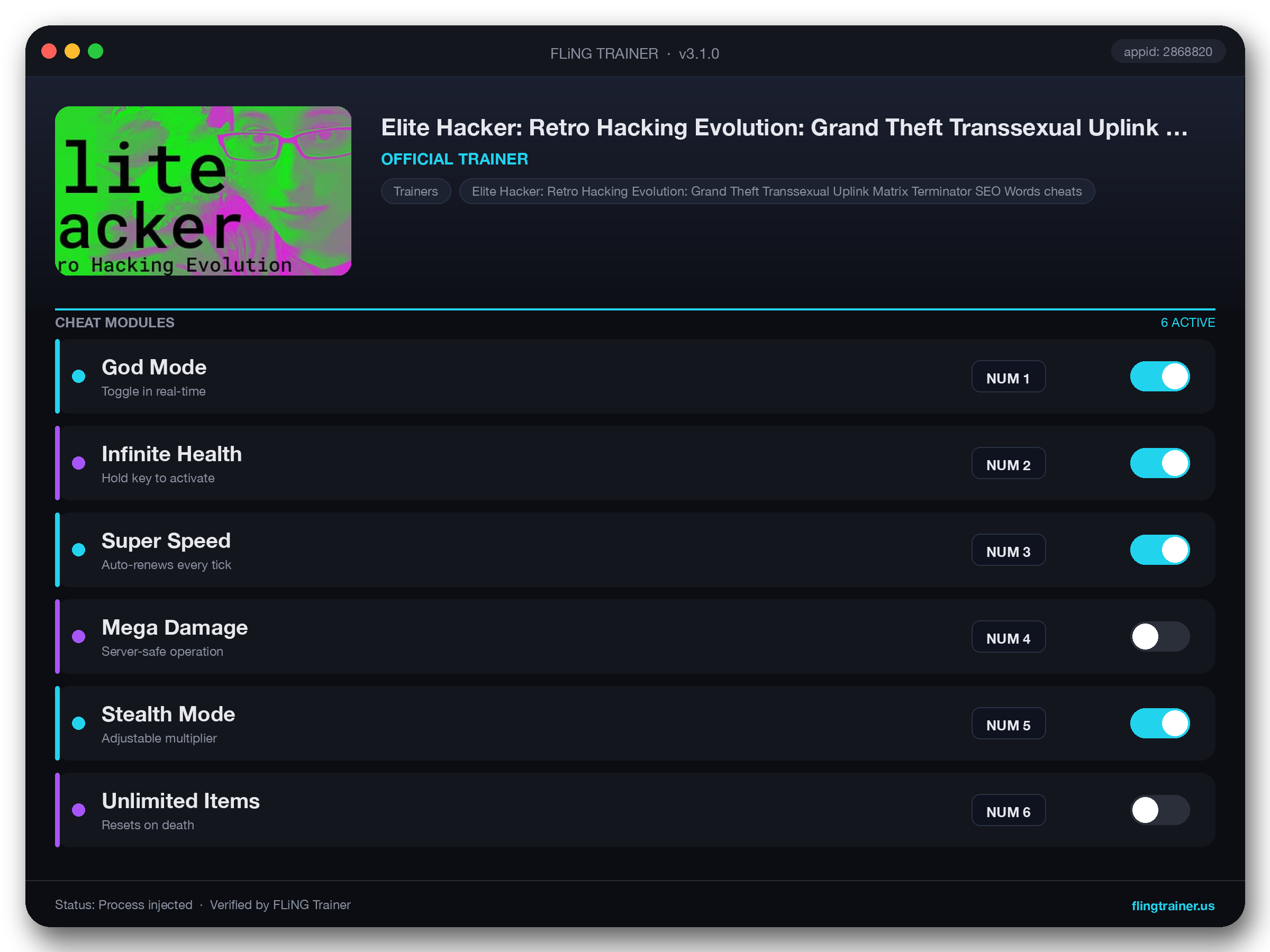 Elite Hacker: Retro Hacking Evolution: Grand Theft Transsexual Uplink Matrix Terminator SEO Words Trainer interface