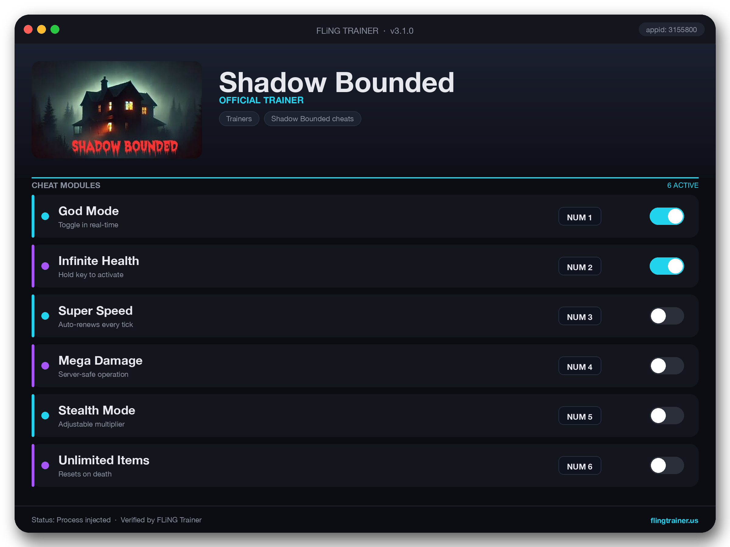Shadow Bounded Trainer interface