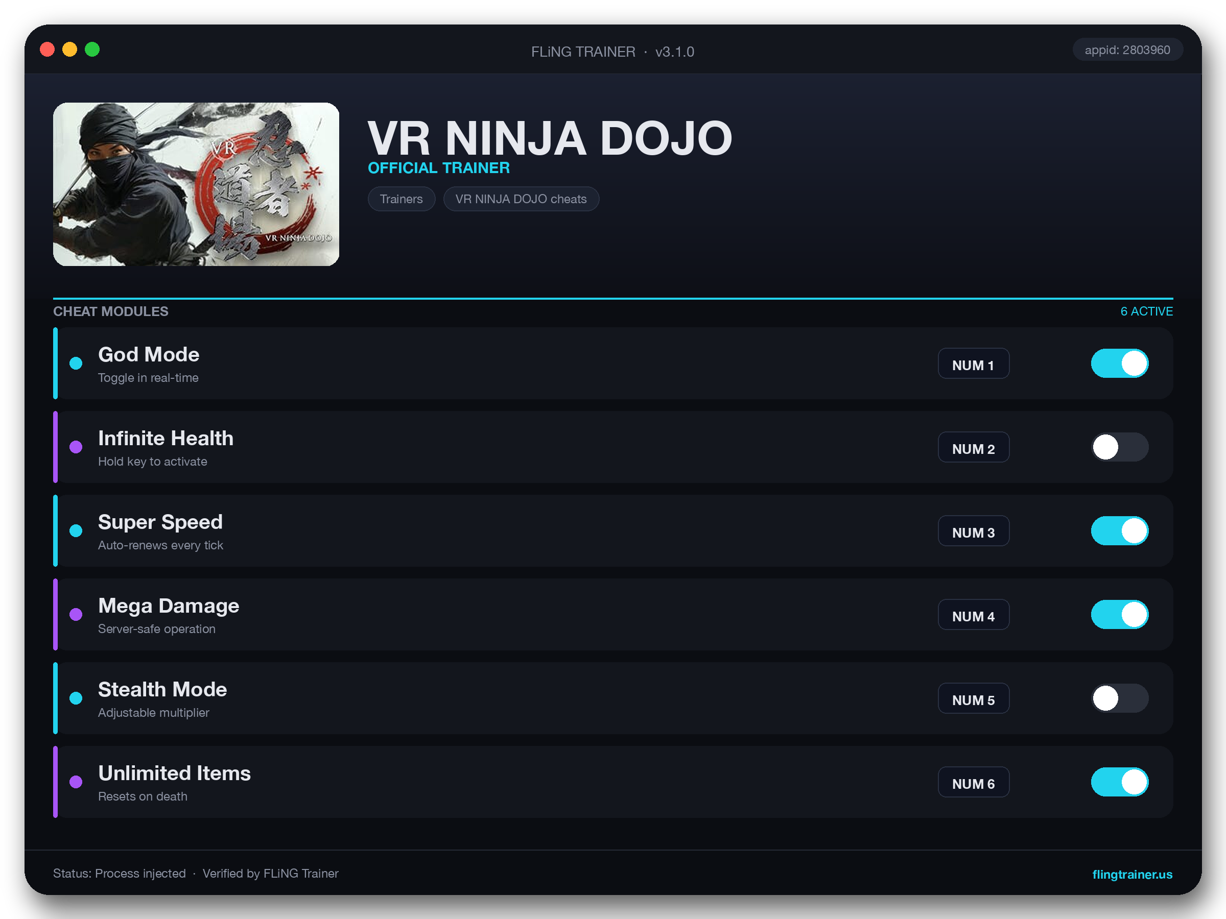 VR NINJA DOJO Trainer interface