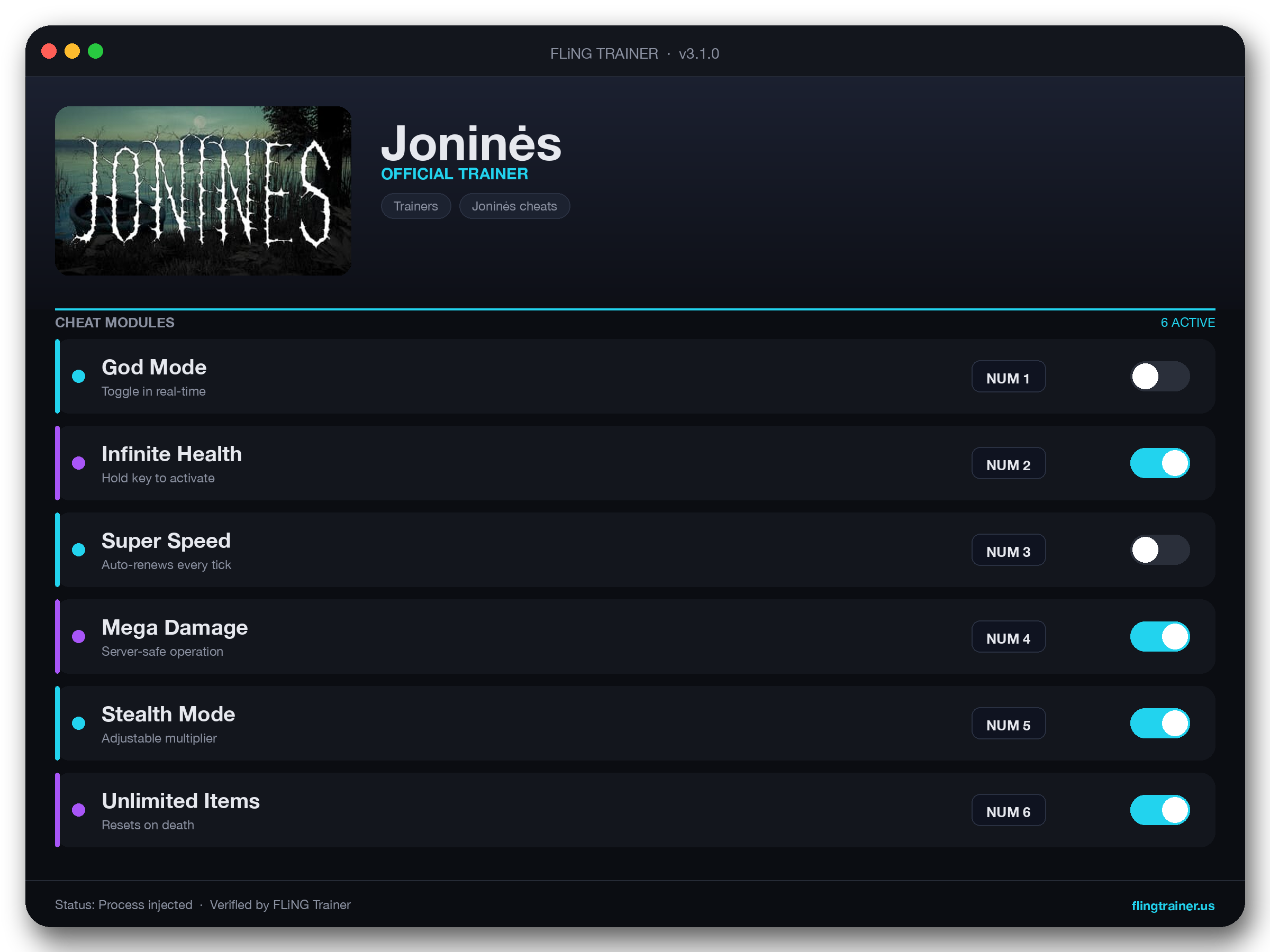 Joninės Trainer interface