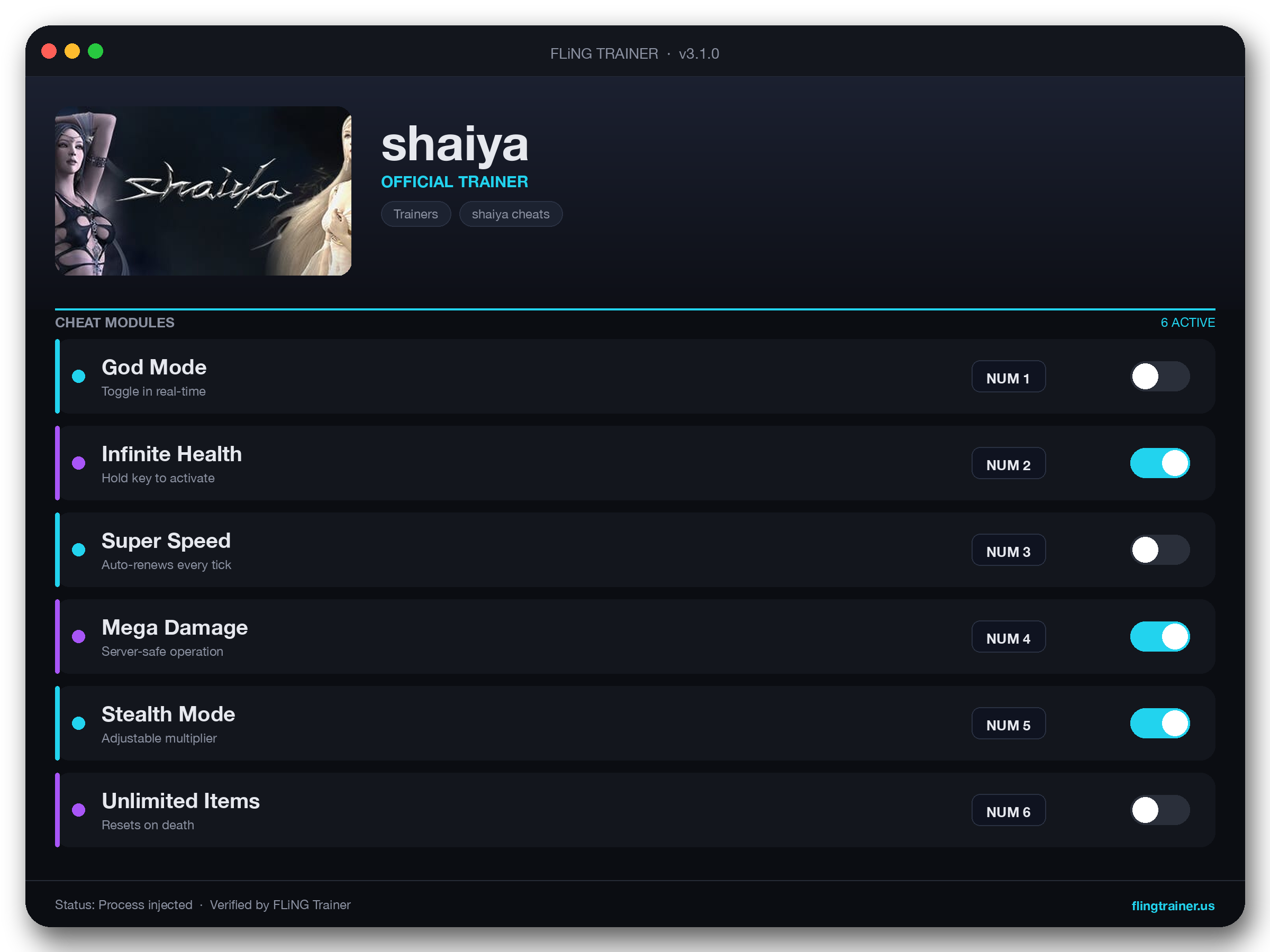 shaiya Trainer interface