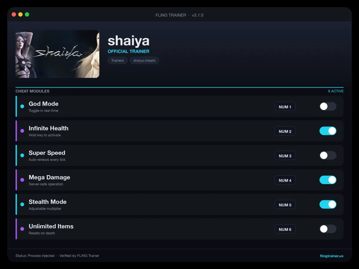 shaiya Trainer interface