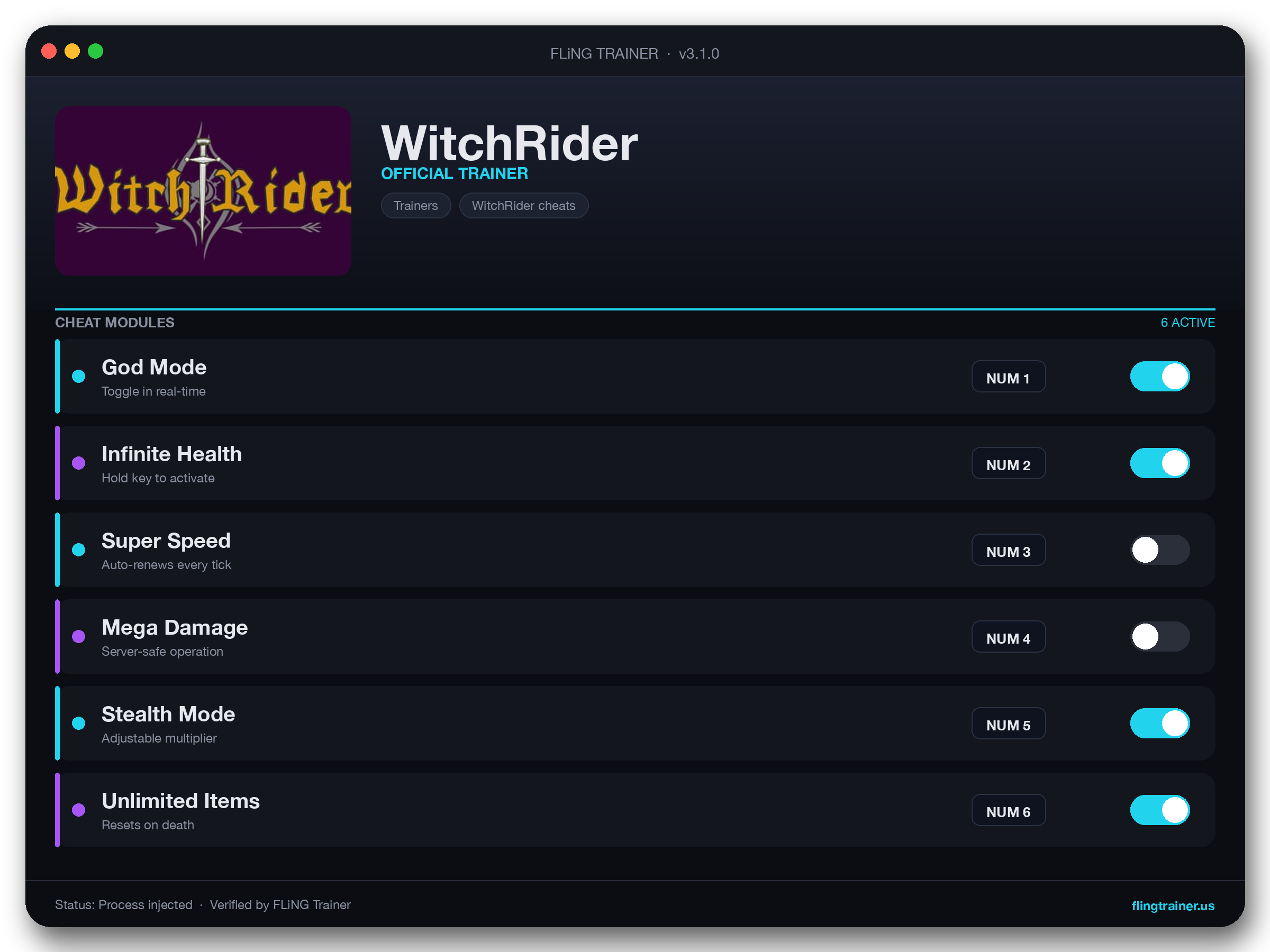 WitchRider Trainer interface