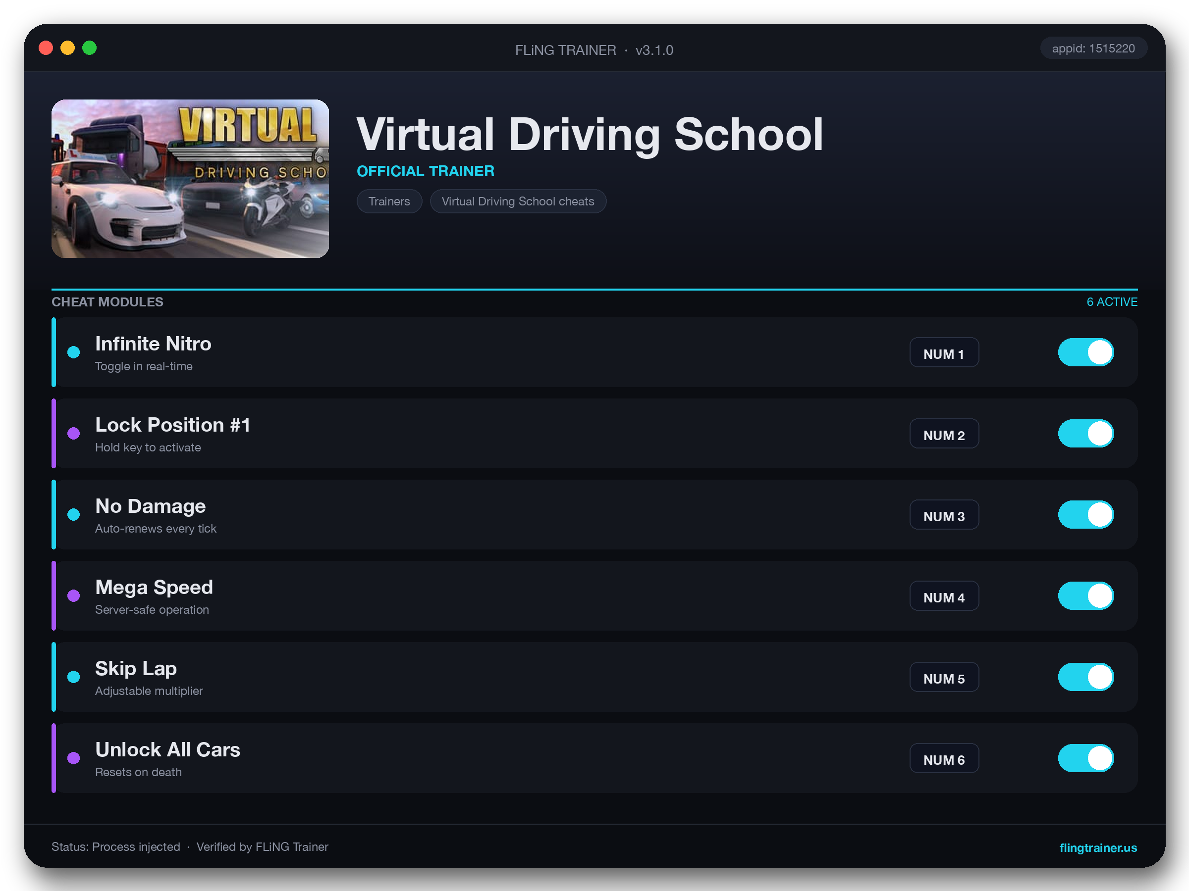 Virtual Driving School Trainer interface