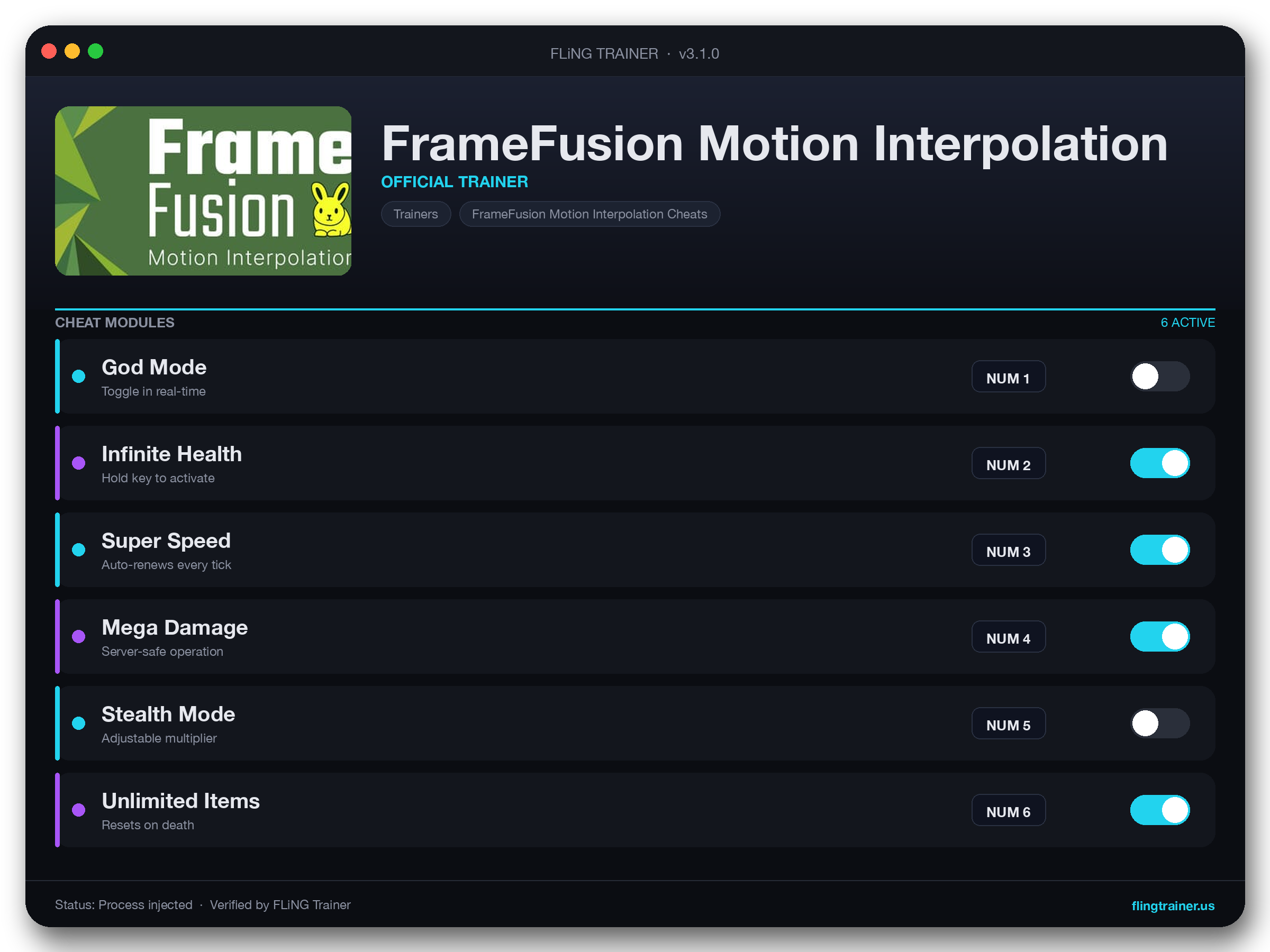 FrameFusion Motion Interpolation Trainer interface