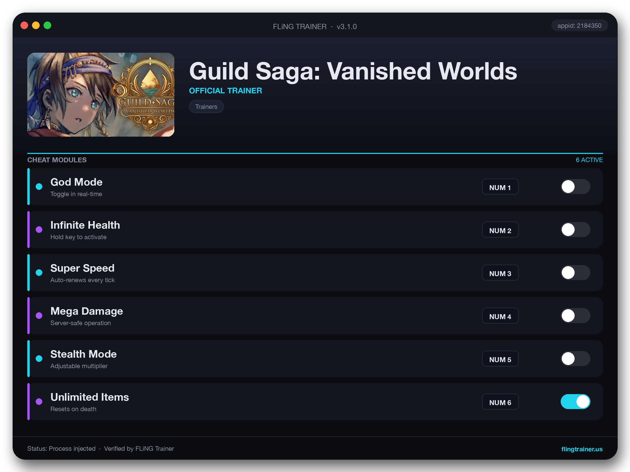 Guild Saga: Vanished Worlds Trainer interface