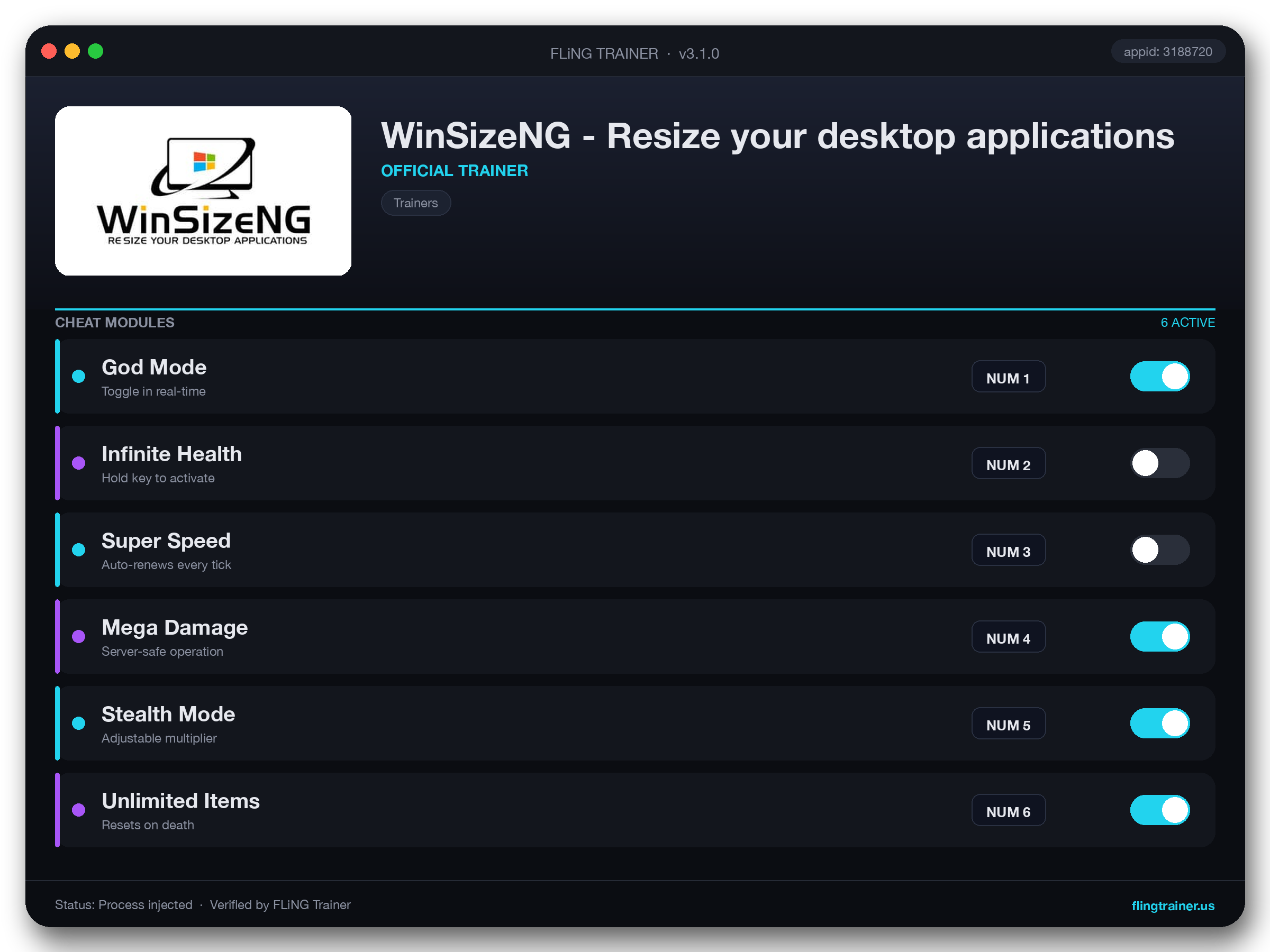 WinSizeNG - Resize your desktop applications Trainer interface