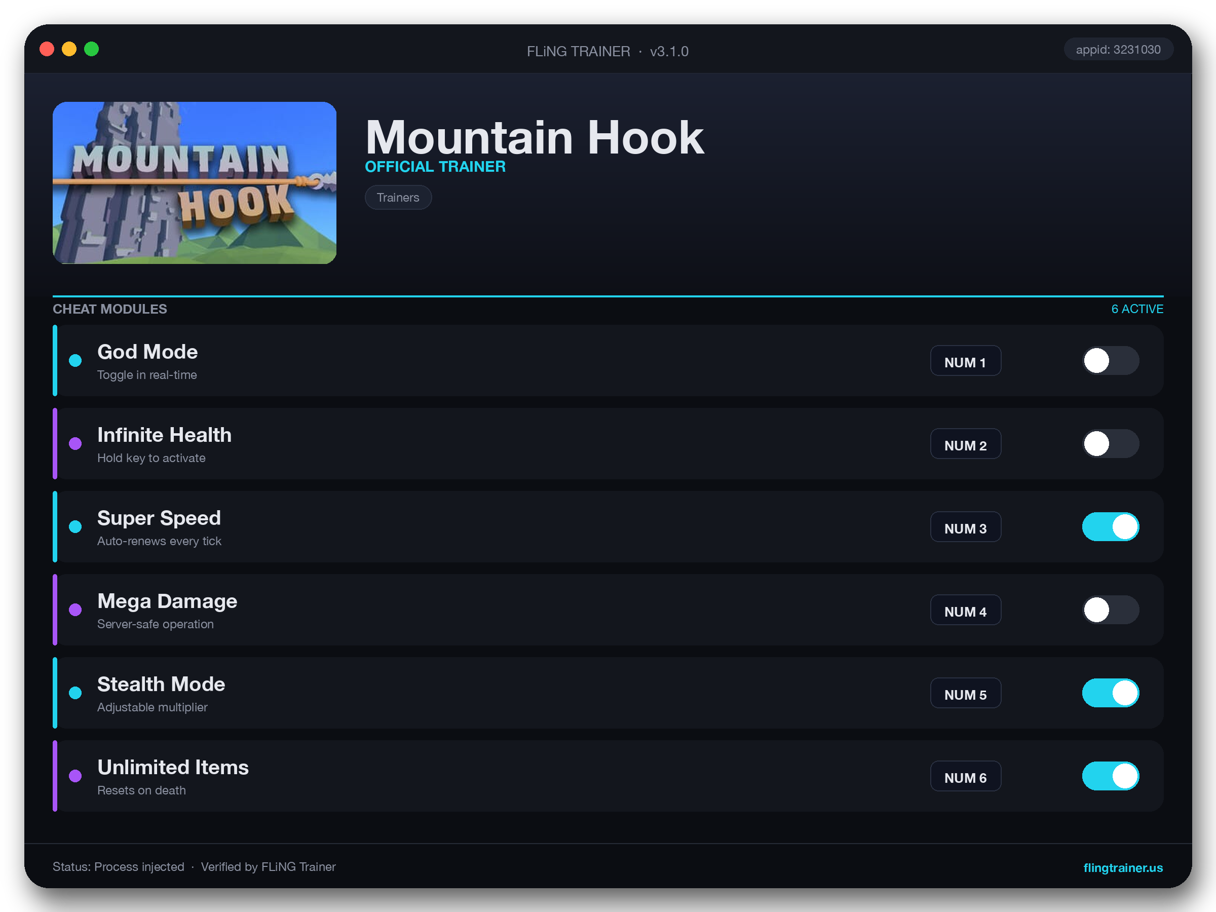 Mountain Hook Trainer interface