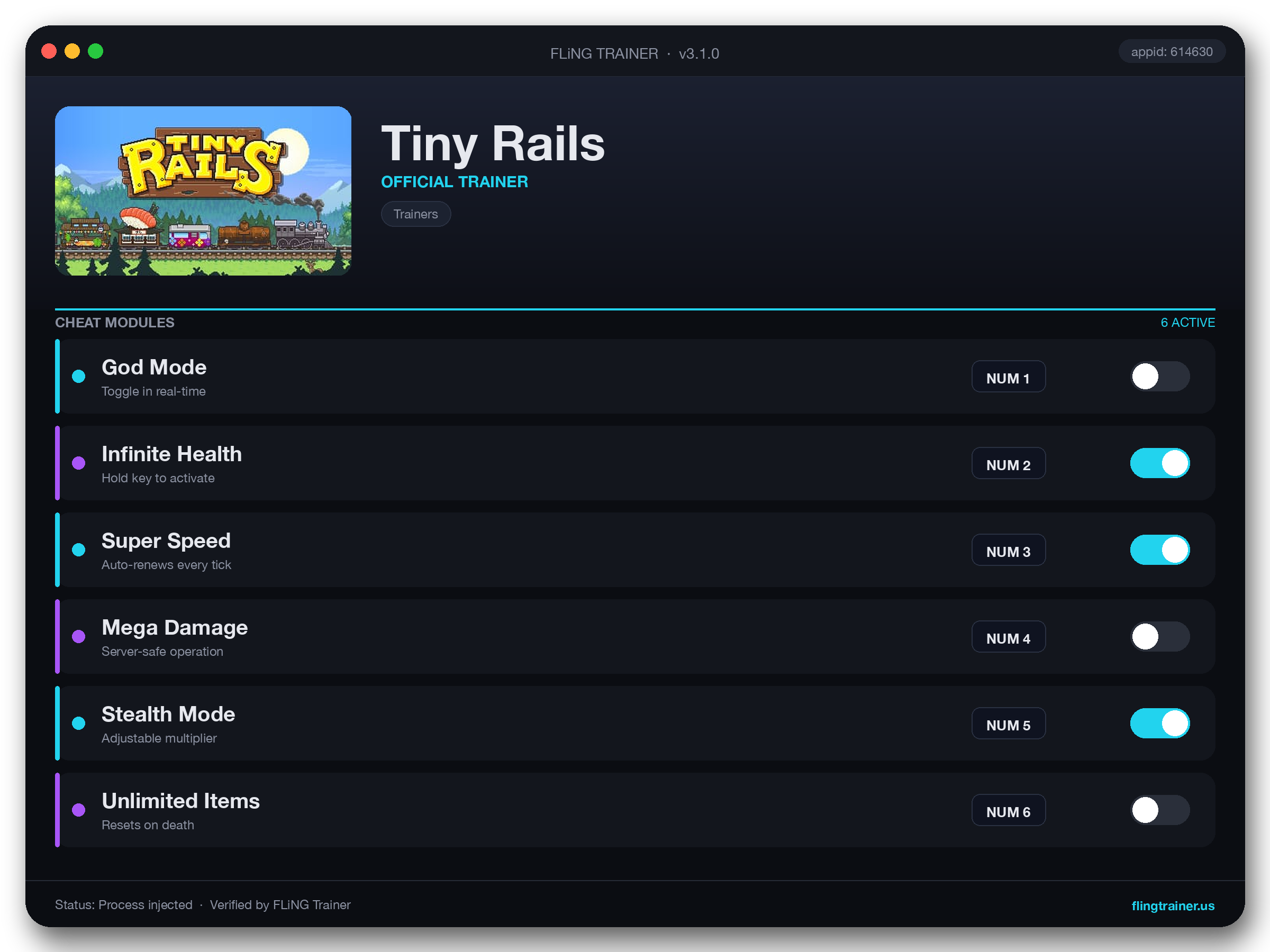 Tiny Rails Trainer interface