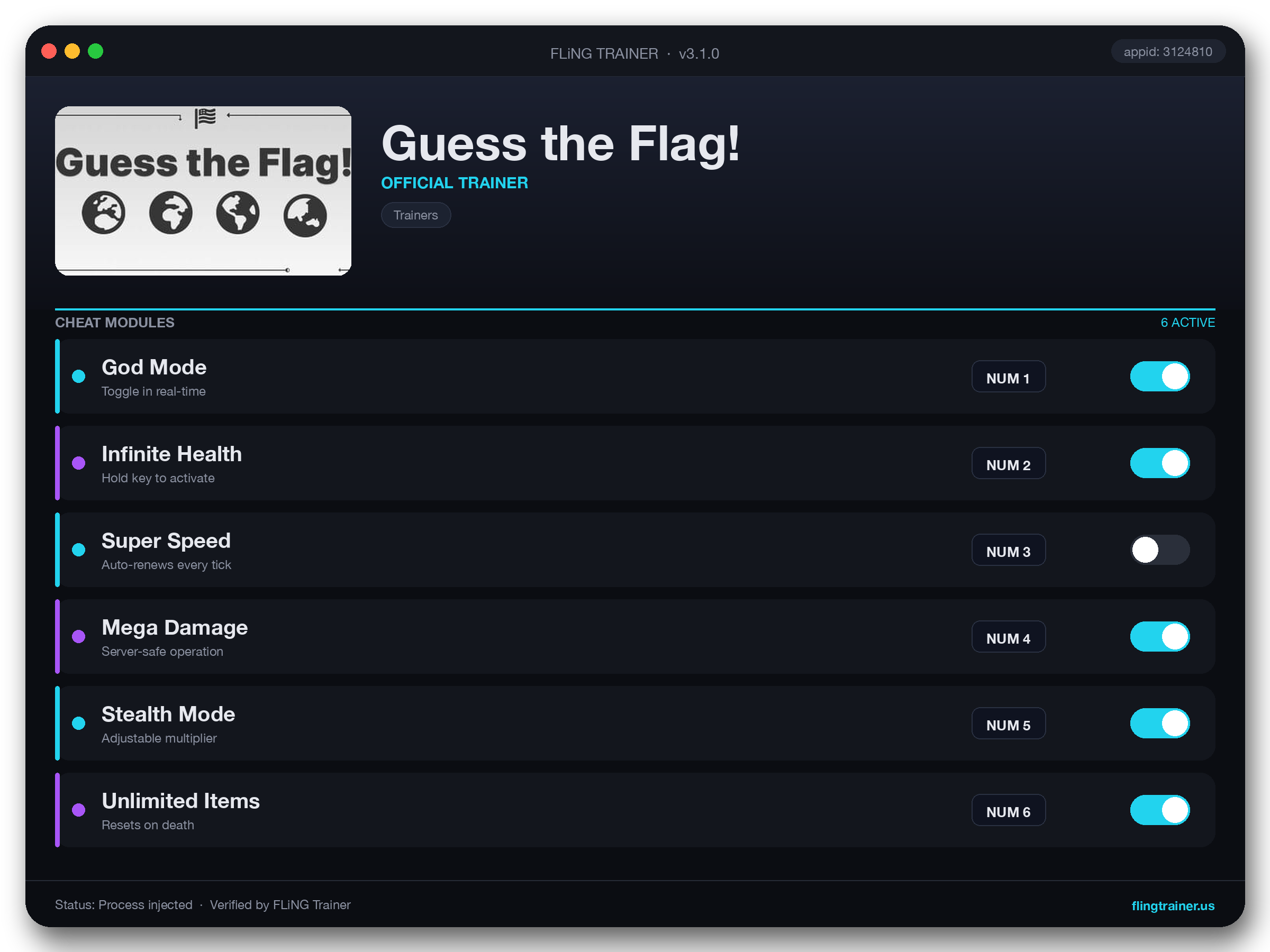 Guess the Flag! Trainer interface