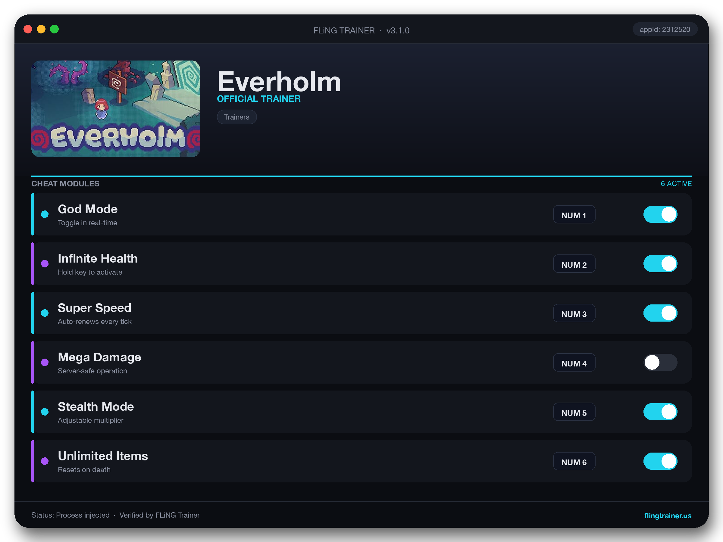 Everholm Trainer interface