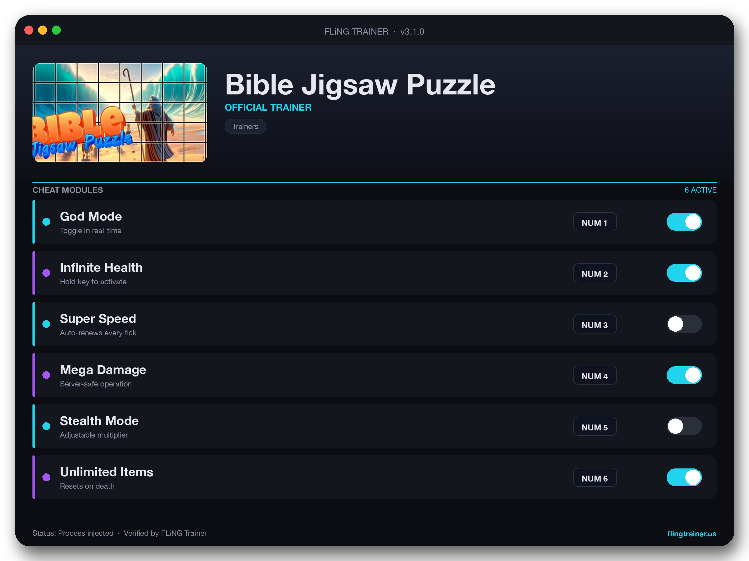 Bible Jigsaw Puzzle Trainer interface