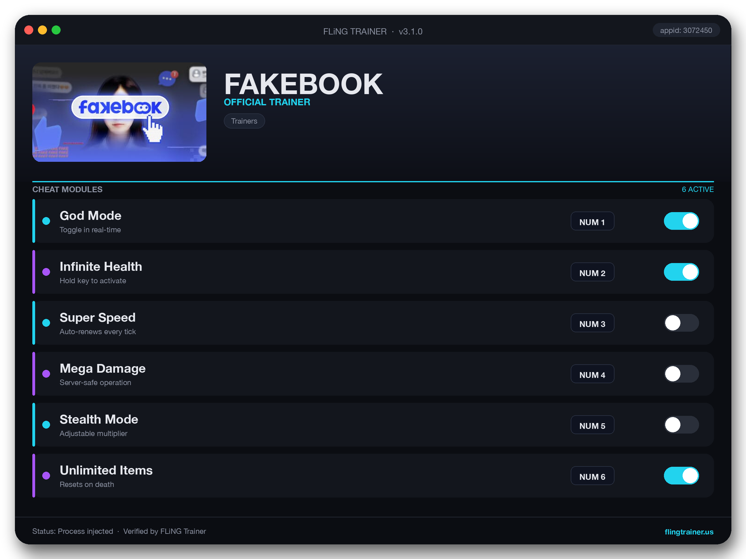 FAKEBOOK Trainer interface